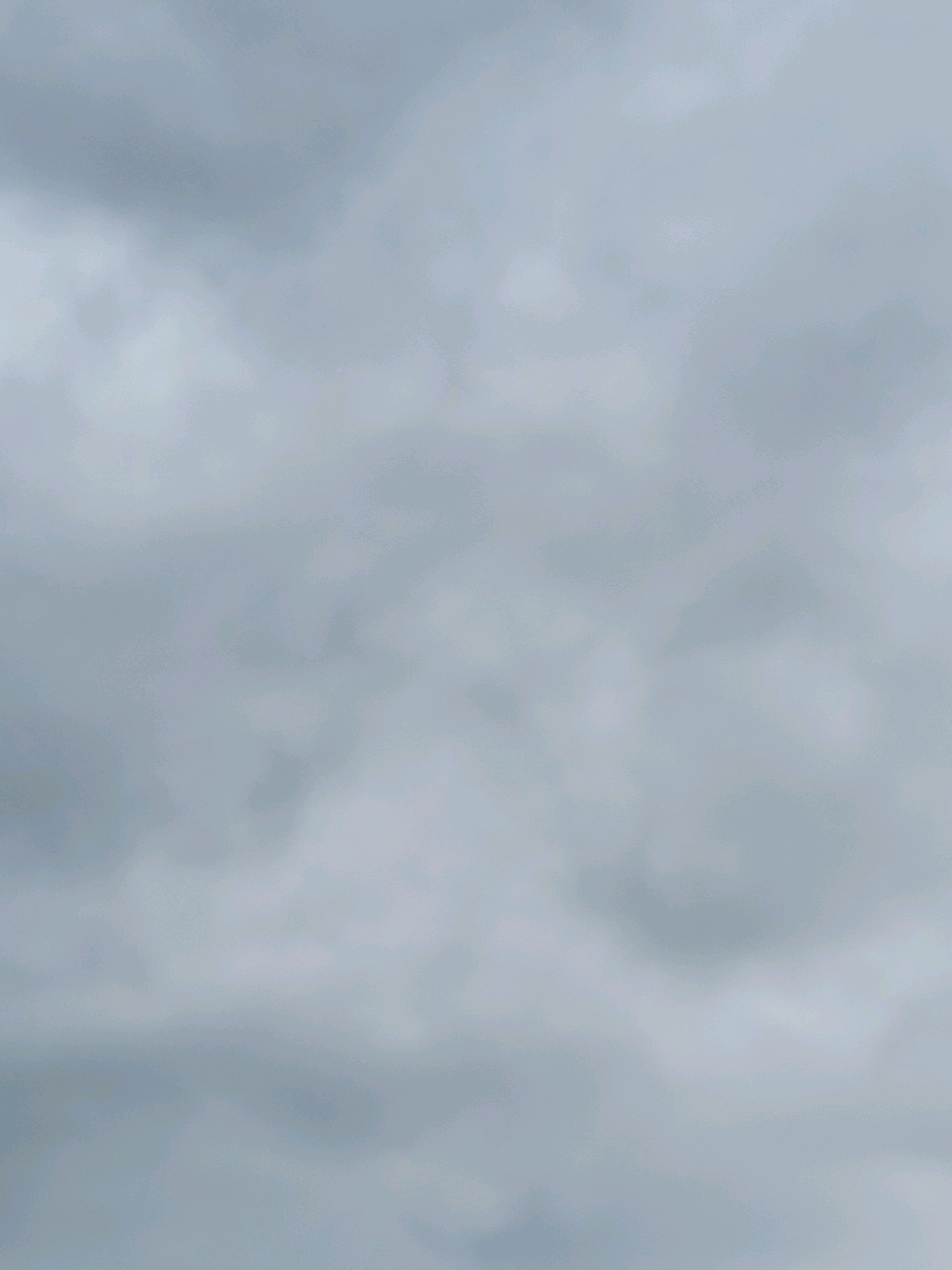 The image depicts a cloudy sky. There are no discernible objects, people, or specific locations visible. The color palette is dominated by various shades of gray and white, characteristic of overcast weather. The texture of the image suggests soft, diffused light, as would be expected on a cloudy day. There is no indication of the city of Jelgava, Latvia, or any other geographical markers.