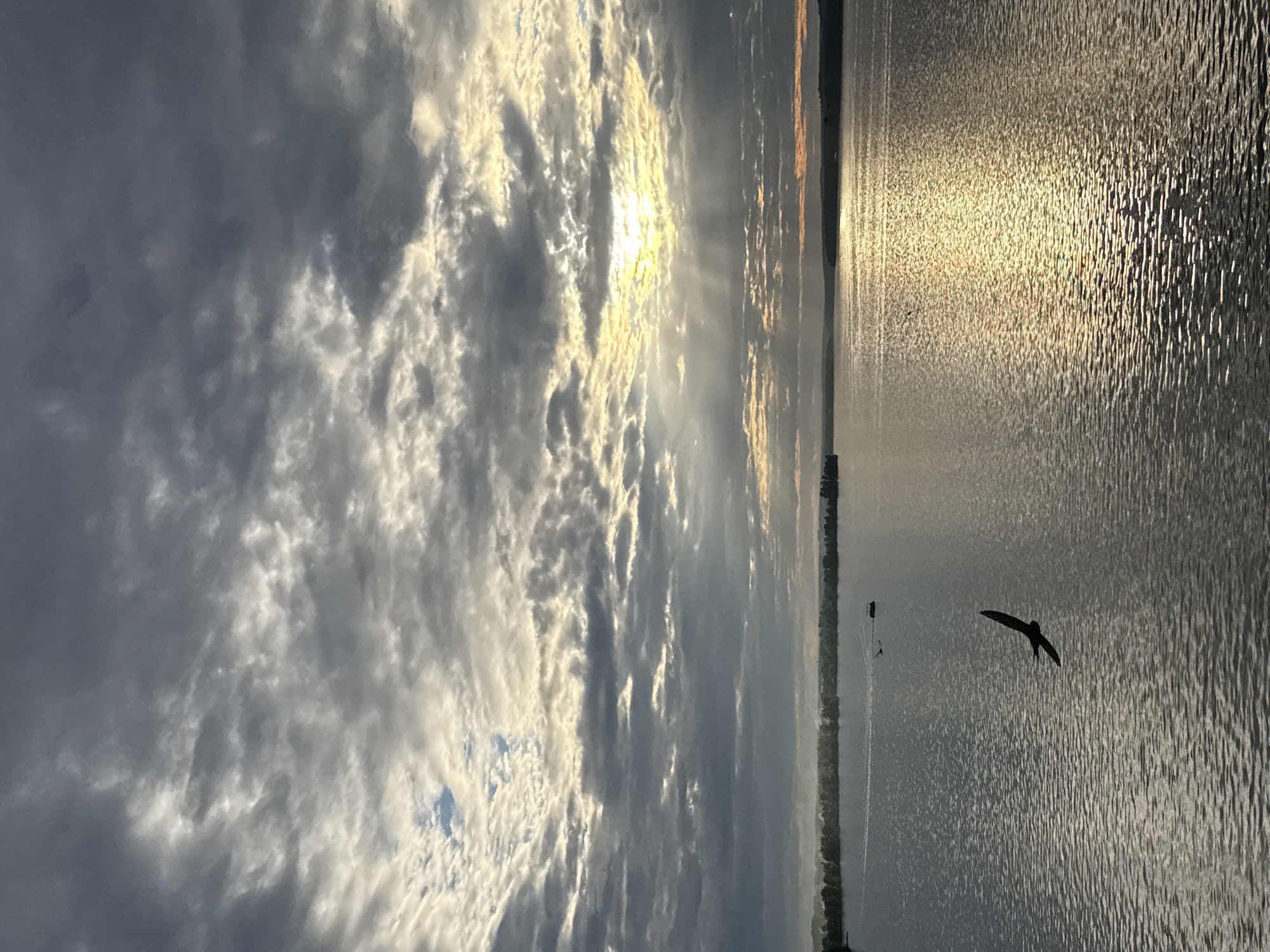 The image depicts a panoramic view of a wide body of water, likely a reservoir or river, under a dramatic, cloudy sky. Sunlight breaks through the clouds in the upper right quadrant, casting shimmering reflections on the water's surface. In the foreground, a single bird is captured in mid-flight, its silhouette stark against the rippling water. In the distance, a tree-lined shore marks the horizon, with a few small boats visible on the water. The overall impression is one of natural beauty and tranquility, with a touch of drama provided by the sky.
This scene is consistent with the appearance of the Votkinsk Reservoir in Votkinsk, Russia. The wide expanse of water, the distant treeline, and the presence of boats are characteristic features of this location. The Votkinsk Reservoir is a significant body of water on the Kama River, known for its scenic beauty and recreational opportunities. The particular perspective suggests the photograph was taken from a vantage point overlooking the reservoir, possibly from a bridge, embankment, or a higher elevation. The lighting conditions indicate either early morning or late afternoon, a time when the sun's rays are angled and can create dramatic effects in the sky and on the water. The presence of the bird in flight adds a dynamic element to the composition, suggesting a moment captured in time.