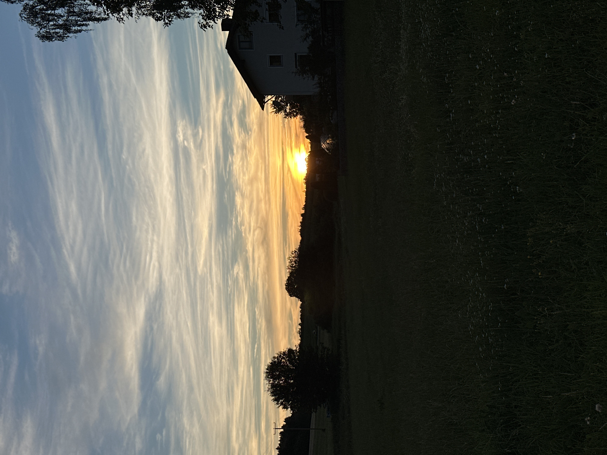 The image depicts a rural landscape in Rudelzhausen, Germany, at sunset. A house with a dark roof and white walls stands on the right side of the frame, partially silhouetted against the sky. The sky is filled with wispy clouds illuminated by the setting sun, which is a bright, intense yellow-orange. The foreground is a dark, grassy field with scattered small white flowers. In the middle ground, there are trees and vegetation, and a telephone pole with wires is visible on the far left. The overall scene is serene and captures the natural beauty of the countryside during twilight.