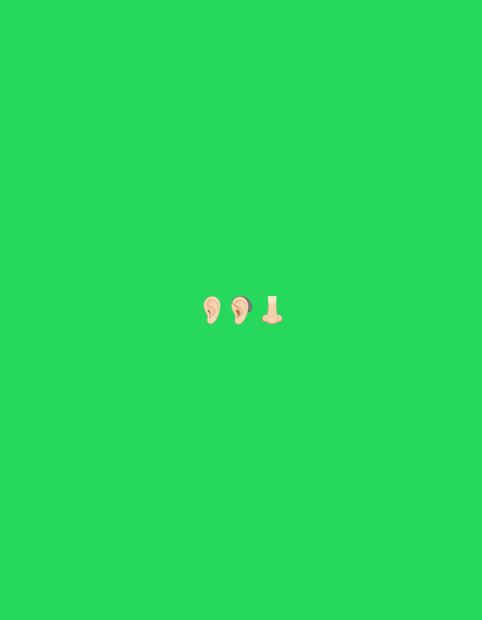 The image displays a uniform green background. Positioned towards the bottom center are three digital icons of human body parts. From left to right, the first icon is a left ear, rendered in a light skin tone. Adjacent to it is a right ear, also in a light skin tone. To the right of the ears, the third icon is a human nose, depicted in a light skin tone. No other subjects, objects, actions, or environmental details beyond the plain green field are present in the scene.
