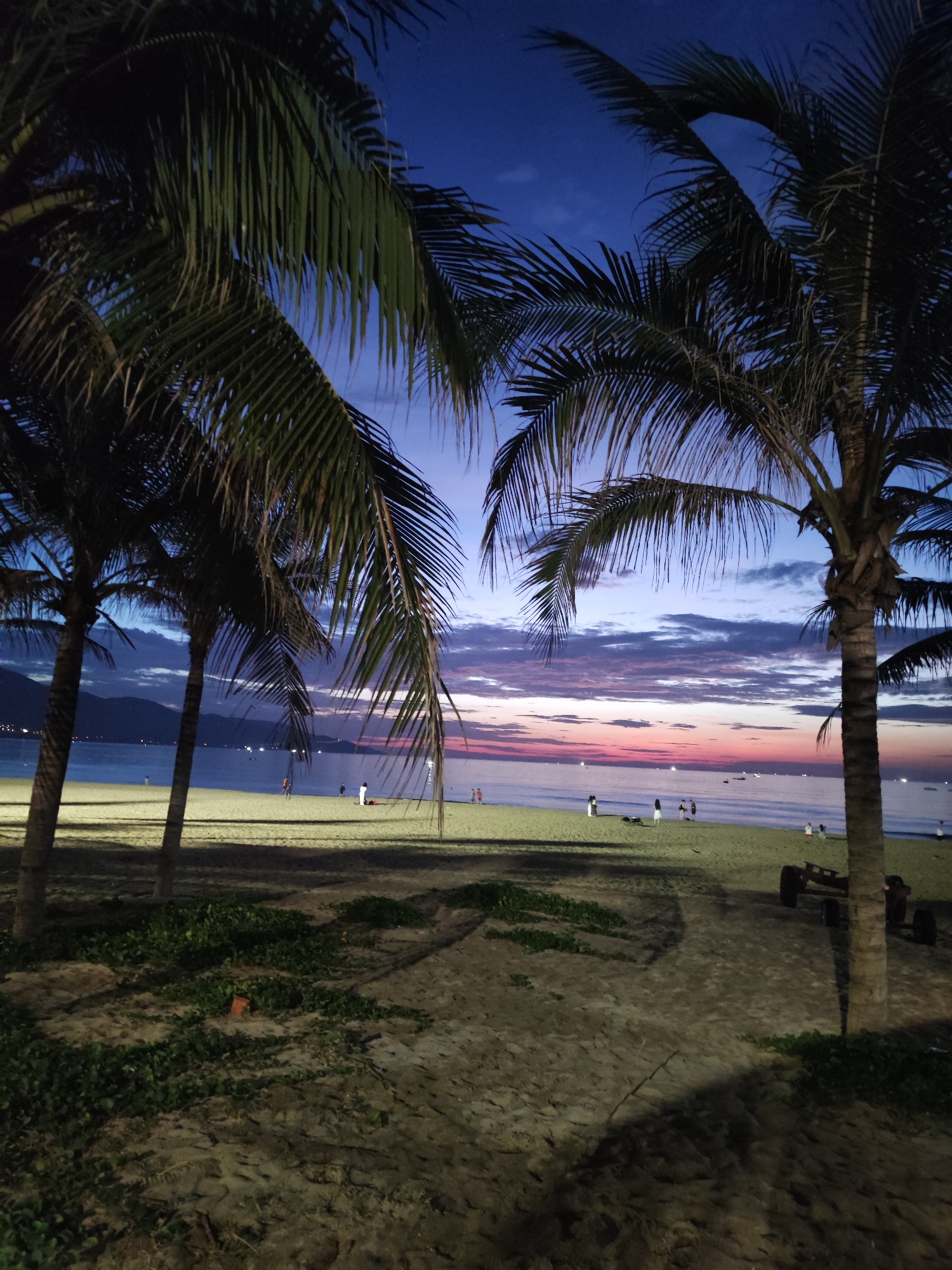 This image depicts a beach scene at twilight or early night in Đà Nẵng, Vietnam. The sky, transitioning from deep blue overhead to gradients of purple, pink, and orange near the horizon, features scattered, elongated clouds.
In the foreground, the sandy beach occupies the lower half of the frame. Several mature palm trees, their fronds visible in silhouette and with some green detail, frame the image from the left and right, extending into the upper portion. Patches of dark green ground cover are present on the sand in the lower left. A dark, wheeled object, possibly a small cart or piece of equipment, is visible on the sand in the lower right. The sand surface shows depressions and texture from foot traffic.
In the midground, numerous individuals are dispersed along the waterline of the beach. These figures appear to be adults, some singly and others in small groups, engaged in activities such as walking and standing. Their clothing generally consists of light-colored tops and darker bottoms, with one prominent figure dressed entirely in white. The ocean water is calm, reflecting the twilight sky and exhibiting a purple-pink hue near the horizon.
The background reveals a body of water extending to a distant coastline. Silhouettes of mountains are discernible on the far left. Along the distant shoreline, numerous artificial lights from a city (consistent with Đà Nẵng) are illuminated, creating a luminous band across the horizon. Several small lights, presumably from boats, are visible on the water further out. Artificial lighting on the beach casts shadows from the palm trees and individuals onto the sand.