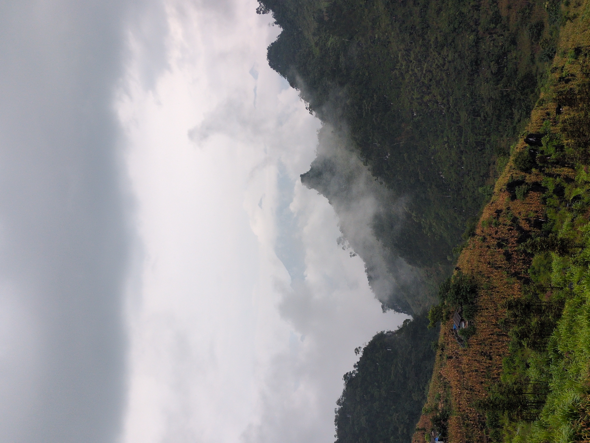 The image depicts a mountainous landscape, likely in Lũng Phìn Commune, Vietnam, under a cloudy and misty sky. In the foreground, lush green grass and trees are visible on a slope. Further up, a terraced field with dry, brown crops, possibly corn, occupies a significant portion of the hillside. A small, rustic structure with a dark roof is nestled among the crops. On the left side of the image, a steep, tree-covered mountainside descends into a valley. On the right, another densely forested mountainside rises, partially shrouded in mist and fog, with jagged peaks in the background peeking through the clouds. The overall atmosphere is serene and somewhat dramatic due to the weather conditions.