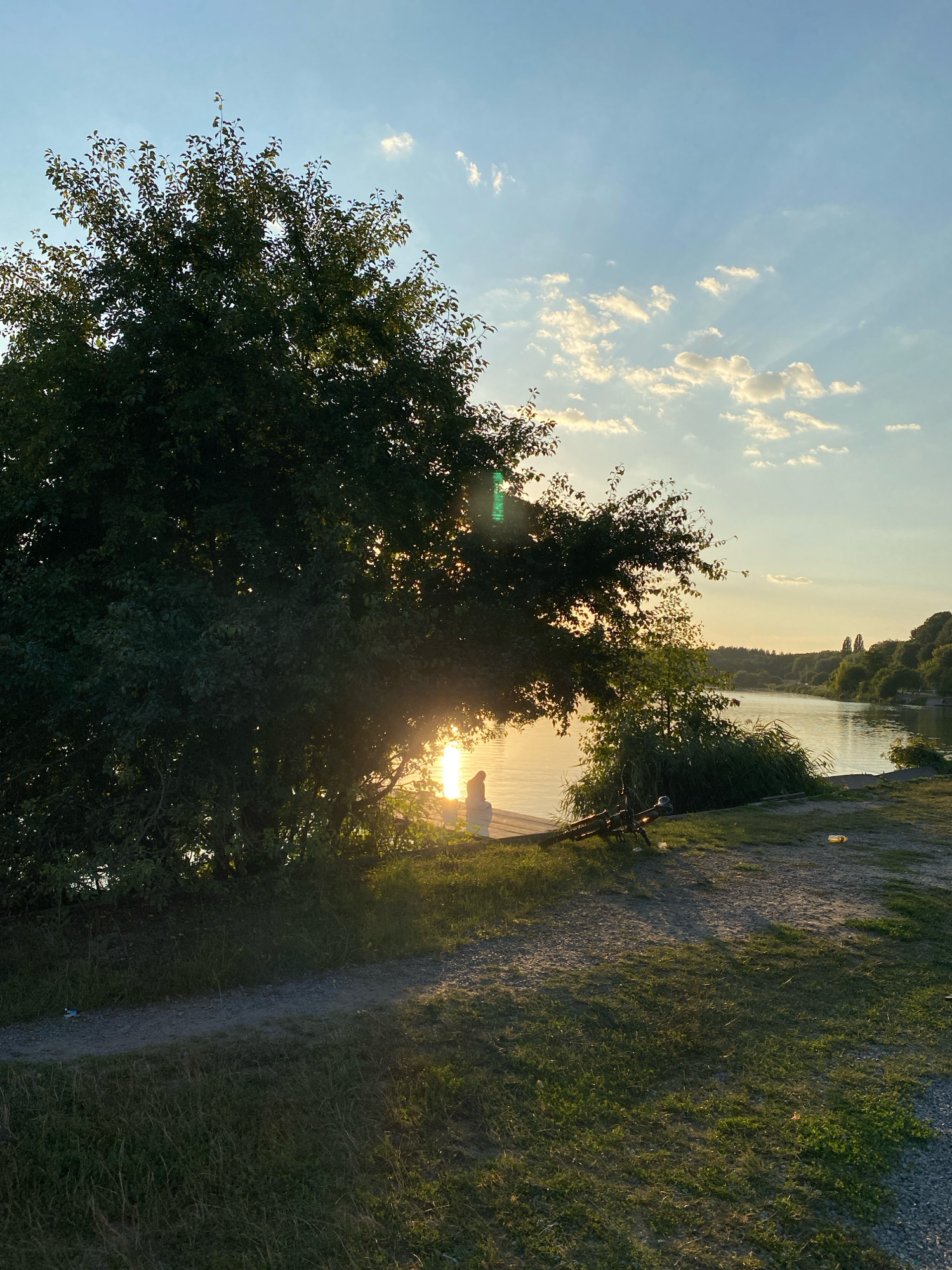 The image depicts a tranquil sunset scene at the Roshen embankment in Vinnytsia, Ukraine. A large tree dominates the left foreground, its lush green foliage partially obscuring the golden sun as it sets over the calm river. A person is seated on a wooden pier to the right of the tree, silhouetted against the bright water, appearing to be in a contemplative pose. A bicycle is resting on the ground nearby, its dark frame contrasting with the grassy embankment. The water reflects the warm hues of the sky, creating a serene atmosphere. The embankment itself is covered with grass and gravel, with a dirt path winding through it. In the distance, the opposite bank of the river is lined with trees, and the sky is a gradient of soft blues and yellows, with scattered clouds tinged by the setting sun.