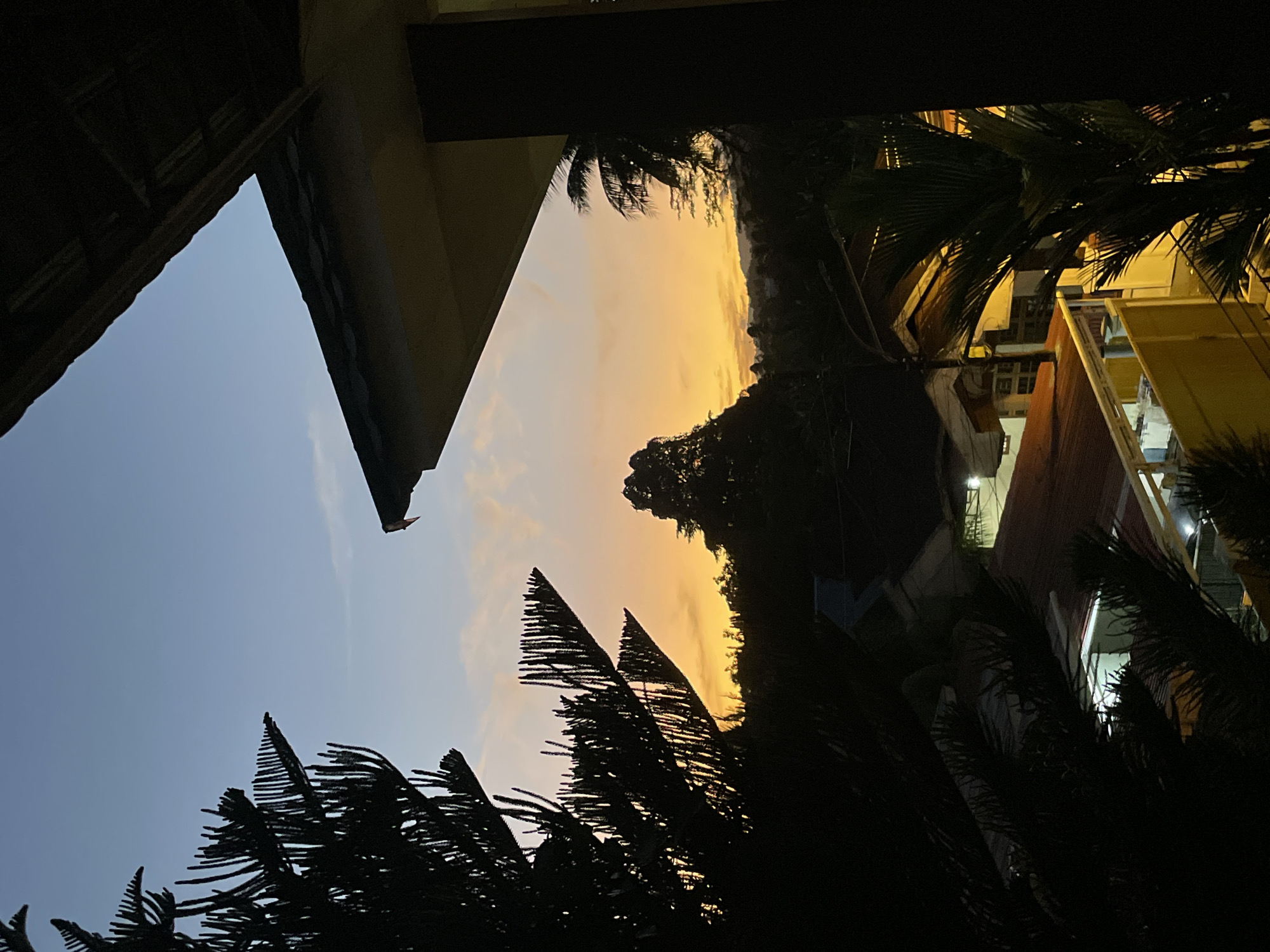 The image captures a twilight view of a residential area in Manado, Indonesia, framed by silhouetted foliage and architectural elements. In the foreground, the spiky branches of a large conifer tree are sharply silhouetted against the sky on the left, and a section of a building's roofline and a dark pillar are visible on the right.
The sky transitions from a clear, pale blue at the top to a vibrant gradient of orange and yellow near the horizon, indicating sunset or sunrise. Wispy clouds are scattered across the orange portion of the sky.
Below the sky, a dense line of dark trees forms a silhouette of the landscape, with a prominent, conical tree standing out in the center of the frame. Nestled within the trees are the rooftops of several houses, some with orange tiled roofs and others with lighter colored surfaces. Lights are visible in some of the buildings, suggesting a residential neighborhood. Palm fronds are also visible on the right side of the image, adding to the tropical feel. The overall scene depicts a serene moment in a semi-urban environment during dusk.