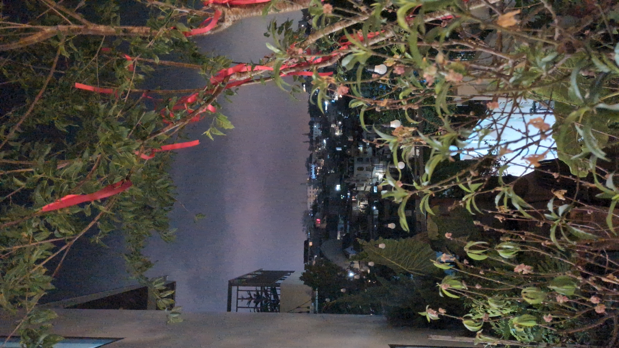 The image shows an evening view of Da Lat, Vietnam, taken from what appears to be a rooftop. In the background, the city lights twinkle against the dark sky. The foreground is dominated by tree branches, some decorated with red ribbons, possibly for a local custom or festival. String lights are also visible, suggesting an outdoor seating or gathering area. The vantage point seems to be a building rooftop, with a partial view of a metallic structure, possibly a pergola or trellis, visible on the lower part of the image. The overall mood is subdued and atmospheric, characteristic of an evening scene in Da Lat.