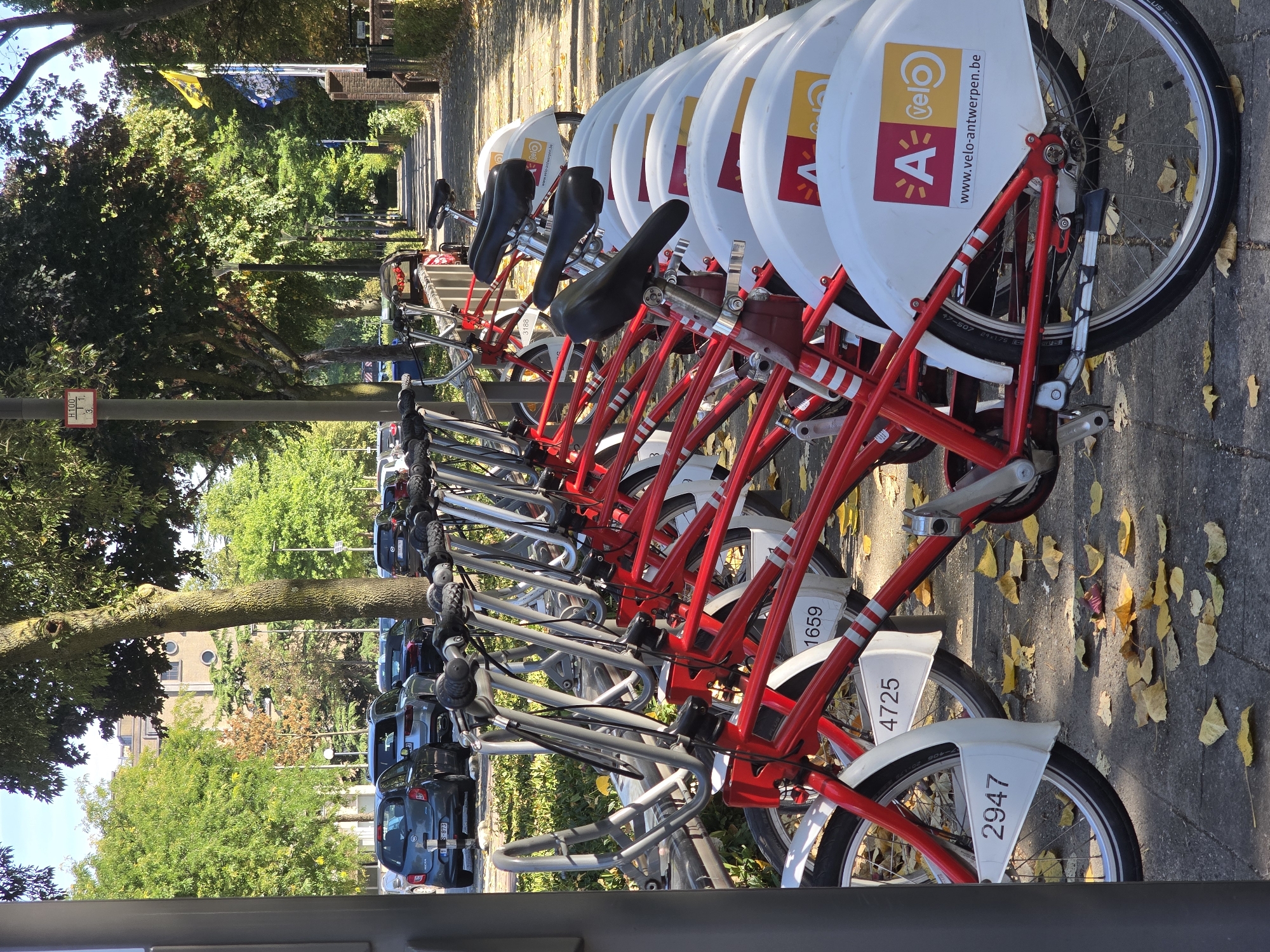 The image depicts a row of red and white rental bicycles parked in a designated rack on a paved surface. Yellow and brown leaves are scattered on the ground, suggesting an autumn setting. The bicycles have silver handlebars and black seats. Each bicycle has a white panel attached to its frame, with numbers such as "2947", "4725", and "1659" visible. Some of the white panels also display a logo with "A" and "velo" in red and yellow, along with the text "www.velo-antwerpen.be". In the background, several cars are parked along a street lined with trees and buildings. A sidewalk is visible to the right of the bicycle rack, leading towards a path bordered by greenery and a brick wall. The scene is illuminated by natural sunlight, casting shadows from the trees and bicycles. There are no people in the image. The presence of the website "www.velo-antwerpen.be" indicates the location is likely in Antwerp, Belgium, as Velo is the bike-sharing system for the city.