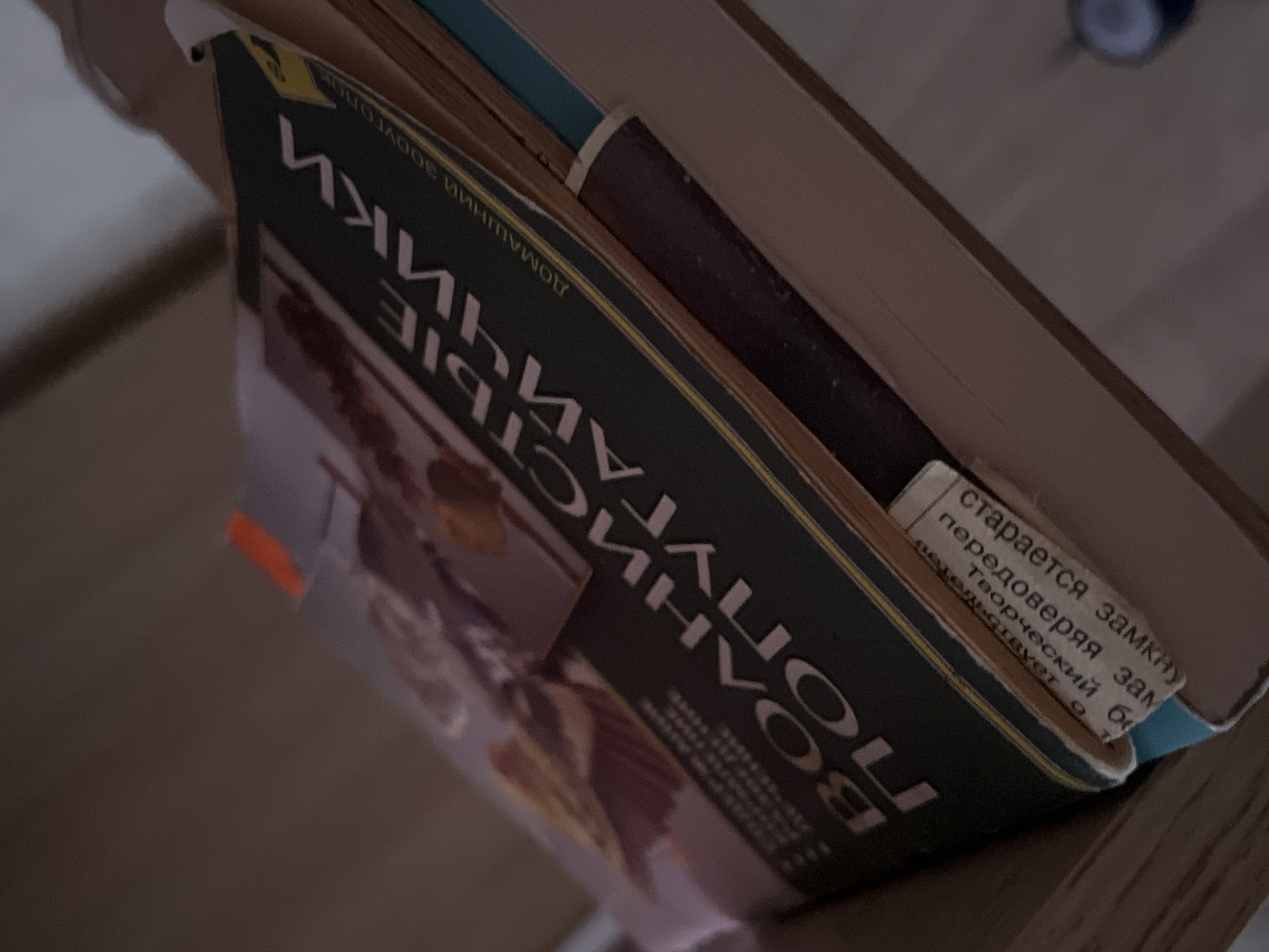 The image shows a close-up, angled view of several books stacked on a shelf, with the focus on the spines and covers. The dominant book in the foreground has a dark green spine with large, light-colored Cyrillic lettering that reads "ВОЛНИСТЫЕ ПОПУГАЙЧИКИ" (Volnistye Popugaychiki), which translates to "Budgerigars." The cover of this book features an illustration of a bird. To the right of this title, smaller Cyrillic text reads "ДОМАШНИЙ ЗООЛОГ" (Domashniy Zoolog), meaning "Domestic Zoologist." A yellow stripe runs along the edge of this book's spine. Another book, with a darker cover, is partially visible behind and below it. A small, torn paper tag with Cyrillic text is attached to the bottom edge of the main book. The books are resting on a wooden shelf, with a blurred background suggesting an indoor environment. The lighting is dim and appears to be coming from the side. No people are visible in the image. The specific location in the city of Krasnyye Barrikady, Russia, cannot be determined from the visual information provided.