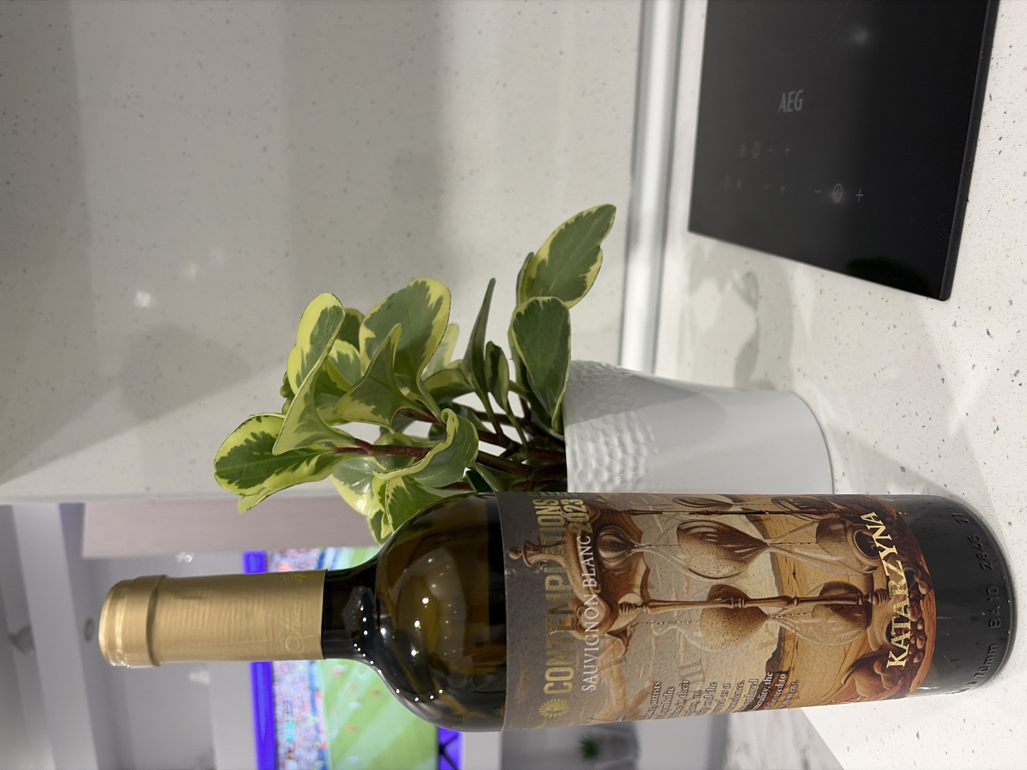 The image shows a close-up view of a bottle of Katarzyna Contemplations Sauvignon Blanc 2023 wine. The bottle has a gold foil cap and a label featuring hourglasses and text. Next to the bottle is a potted plant with green and yellow variegated leaves in a white textured pot. In the background, a portion of a television screen displaying a soccer match is visible. The scene is set on a speckled white countertop, and to the right, a black electric stovetop with touch controls, branded "AEG," is partially visible. The overall environment appears to be a modern kitchen. There are no people or actions depicted in the image. The location is identified as Novi Iskar, Bulgaria.
