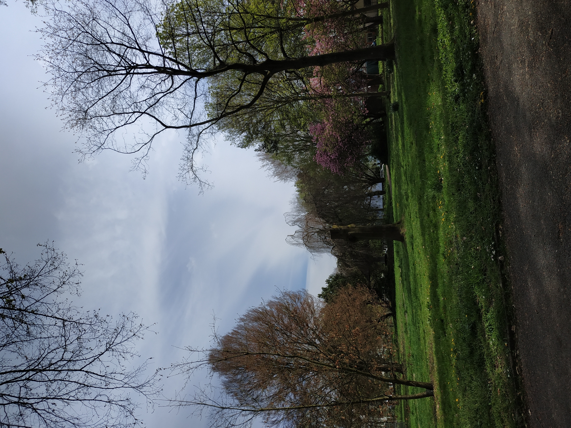 The image captures a park scene in Dortmund, Germany. A paved path runs along the right side of the frame, bordered by a grassy area. Trees line the path, some with bare branches and others with budding green leaves and pink blossoms, suggesting it is springtime. The sky is partly cloudy. Houses are visible in the background. There are no people visible in the frame.