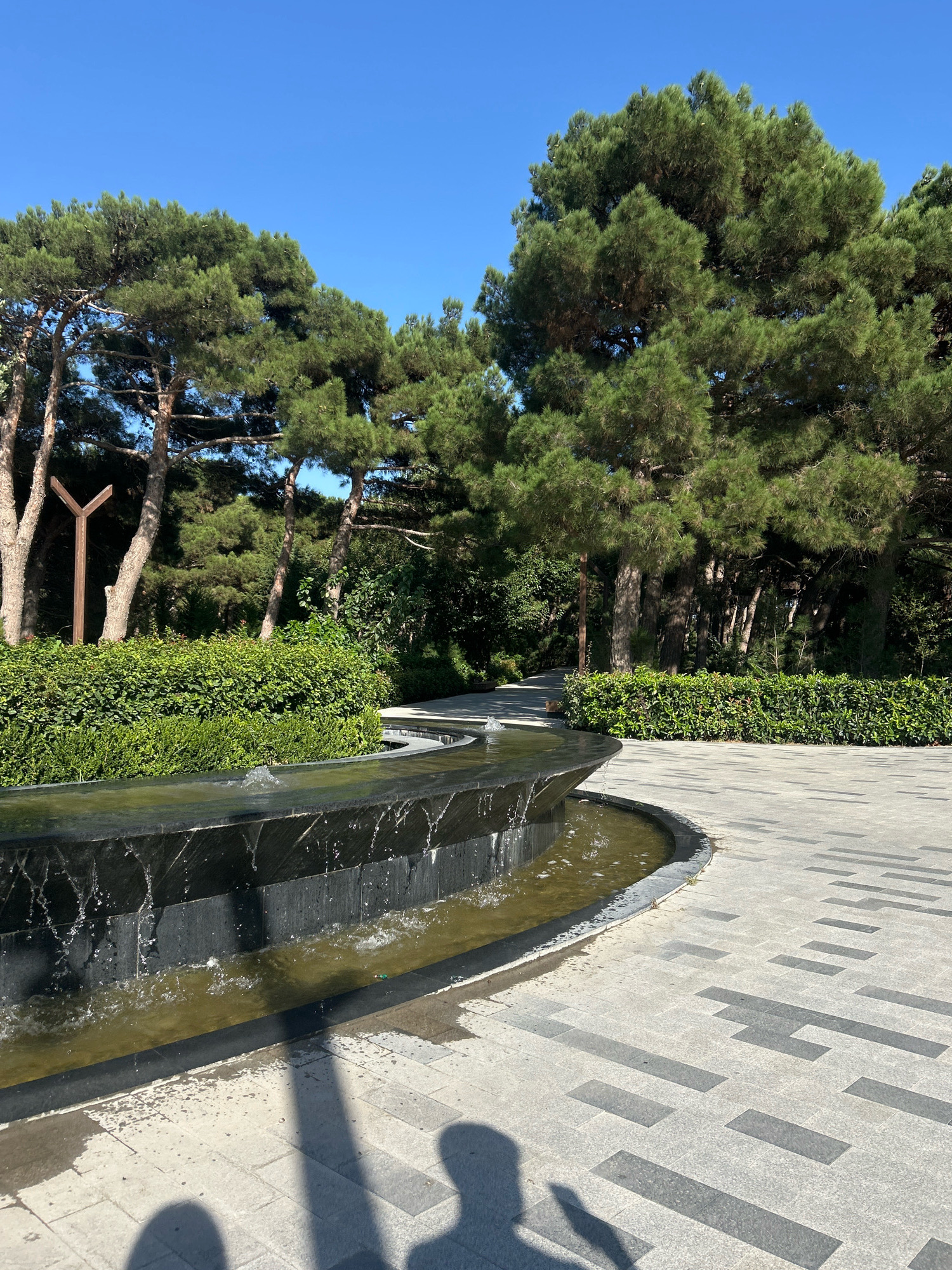 A sunny day in a park in Sabail Raion, Azerbaijan, features a modern, curved water fountain with a dark stone basin. Water gently cascades over the edge of the basin into a shallow pool. Adjacent to the fountain is a paved pathway with a geometric pattern of light and dark gray tiles. Beyond the fountain, a neatly trimmed green hedge forms a border. In the background, tall pine trees with dense green foliage stand under a clear blue sky. A wooden Y-shaped post is visible amongst the trees. The shadows of at least two people are cast on the paved pathway in the foreground.