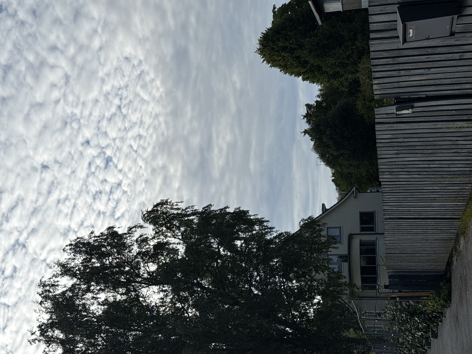 A daytime, medium shot captures a residential scene under a sky filled with altocumulus clouds. In the foreground, a weathered wooden fence stretches across the frame, with a black mailbox attached to its right side. A gap in the fence reveals a metal gate post. To the left of the fence, a chain-link fence encloses lush green foliage. Behind the fences, a two-story house with light-colored walls and dark-framed windows is partially visible, partially obscured by the dark, leafy branches of a large tree. A dense cluster of evergreen trees stands further in the background, with the sky occupying the upper portion of the image. The scene appears to be on a street or driveway.