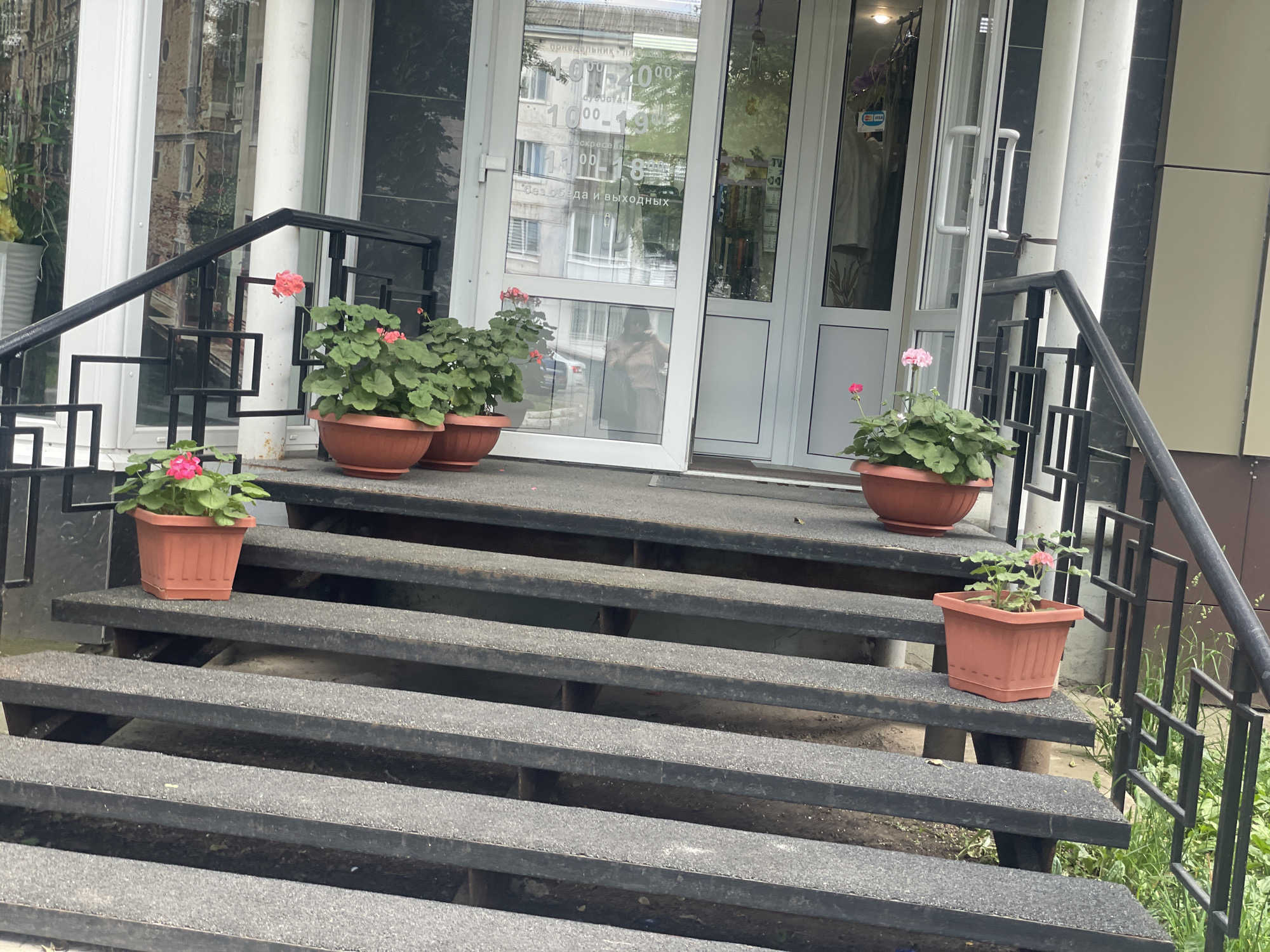 The image shows the entrance to a store on a street in Chaikovsky, Russia. The entrance has a glass door with text in Russian on it, indicating store hours. There are several potted plants with pink flowers on the steps leading up to the entrance. A black metal railing is visible on the side of the steps. The building has a modern facade with dark and light panels. The overall scene is one of a commercial establishment with decorative plants.