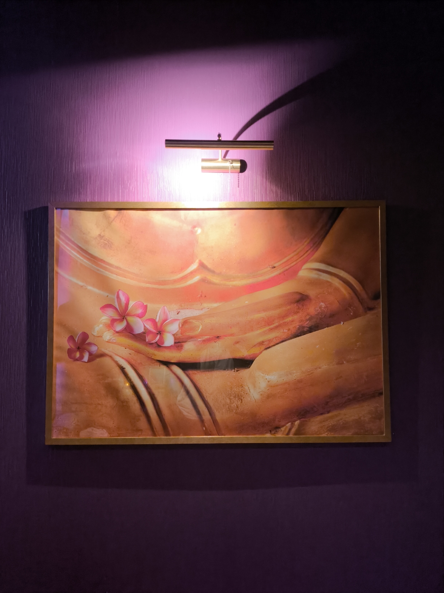 A framed painting hangs on a textured, dark purple wall beneath a brass-colored light fixture. The painting depicts a figure with pink and white flowers resting on it. The light fixture casts a shadow on the wall above the painting. The wall and surrounding area are illuminated with a pinkish-purple hue, likely from the light fixture. The location of the image is indeterminate from visual clues and a specific location in Moscow, Russia cannot be determined.