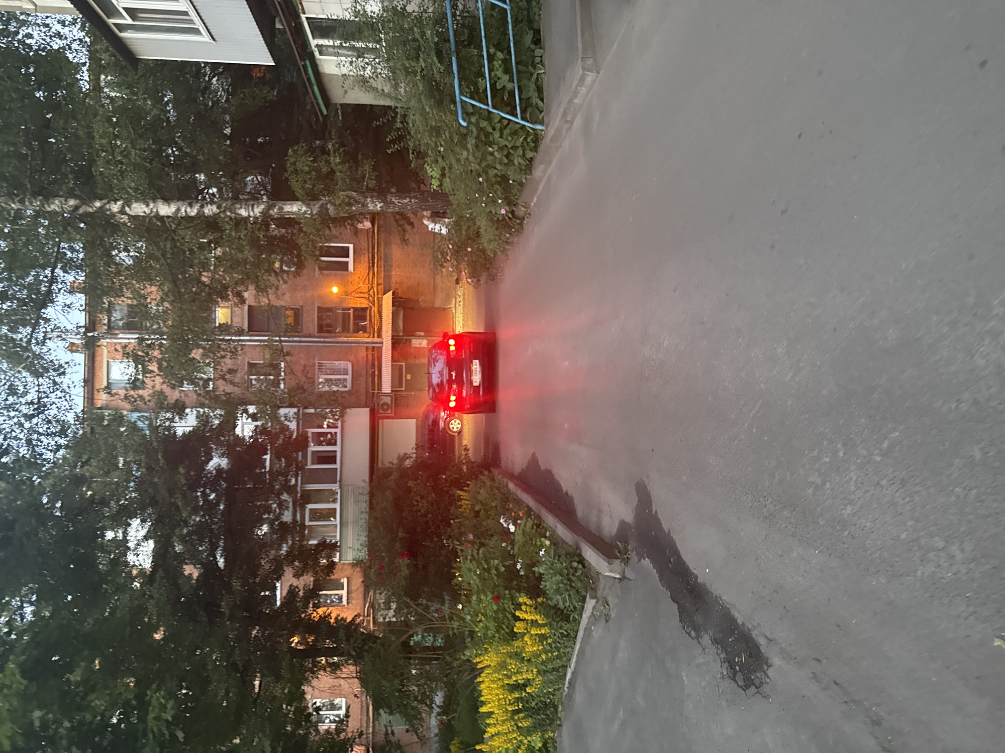 This image shows a view of a street in the city of Гожули, Ukraine. In the foreground, a paved road with a dark stain is visible. On the right side of the road, there is a concrete curb with a blue metal railing and lush green foliage. Further back, a black car with its brake lights illuminated is parked on the road. To the left of the car, a flowerbed bursts with yellow and red flowers, surrounded by green bushes. Behind the flowerbed, a multi-story brick building with numerous windows and balconies stands prominently. To the right of the brick building, a lighter-colored building with white window frames can be seen. Tall trees with dark green leaves frame the scene, with a slender birch tree in the middle ground. The overall lighting suggests it is dusk or early evening.