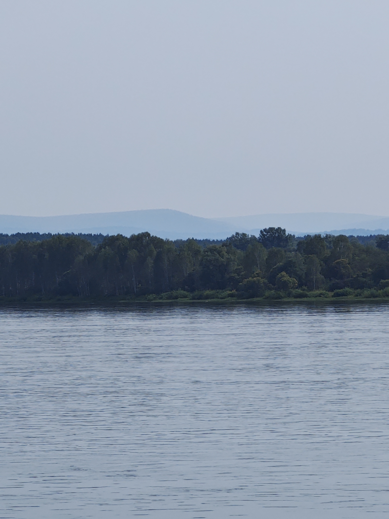 The image depicts a serene landscape in Kononovo, Russia. In the foreground, a body of water with rippling surfaces stretches across the frame, reflecting the pale blue sky. Beyond the water, a dense forest of green trees forms a lush, undulating line against the horizon. The trees are varied in height and density, with some appearing taller and more prominent than others. In the distance, soft, hazy mountains fade into the atmospheric perspective, their outlines blurred against the sky. The overall impression is one of natural tranquility and expansive, untouched scenery.