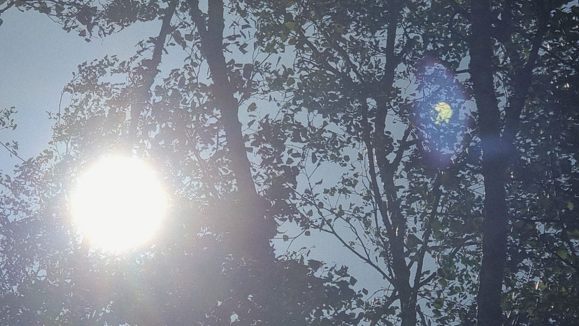 The image captures a sunlit scene looking upwards through tree branches. The sun, a bright, blown-out white orb, is prominently positioned in the upper left quadrant, casting lens flare across the image. Silhouetted tree branches and leaves fill most of the frame, with the sky visible in the background. The overall impression is one of dappled sunlight filtering through foliage. The specific location in Heidenheim an der Brenz, Germany is not determinable from the visual information provided.