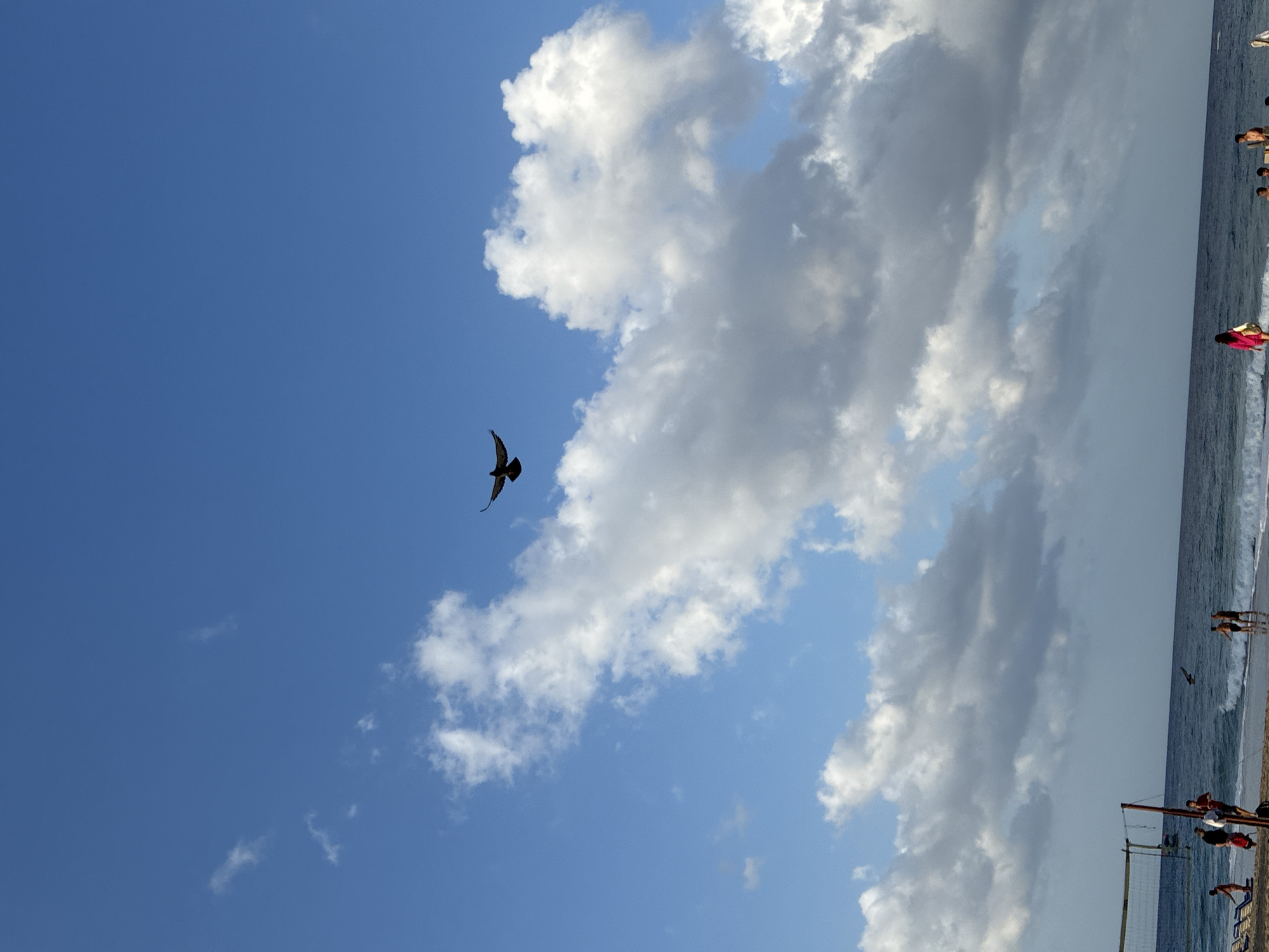 A bird is flying in the sky over a beach in Alanya, Turkey. The sky is blue with some white clouds. There are people on the beach playing volleyball and swimming in the ocean. The water is blue and there are some waves. The beach is sandy.