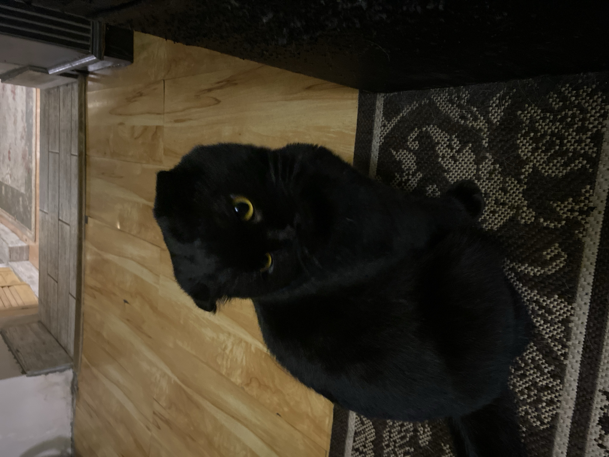 A black cat with yellow eyes is sitting on a rug in a room. The cat is facing the camera, and its ears are folded down. The rug has a patterned design in shades of brown and white. Behind the cat, the floor is made of light-colored wooden planks. In the background, there appears to be a doorway or hallway with wooden doors and a tiled floor. To the right of the cat, there is a dark piece of furniture. The lighting is dim.
