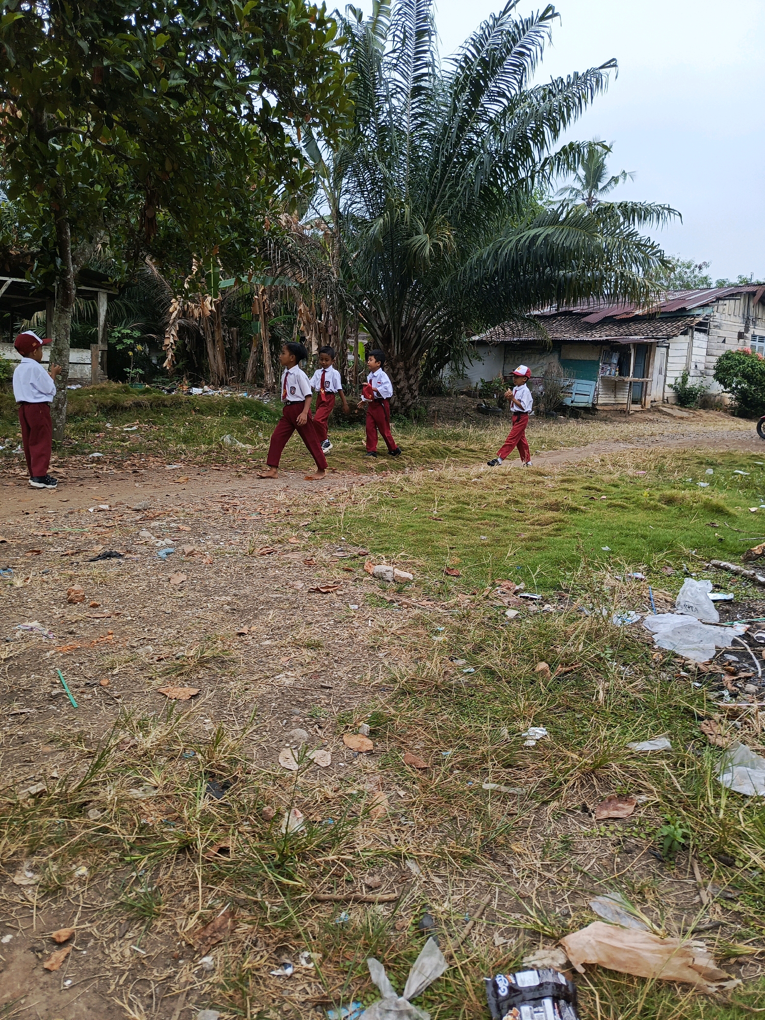 The image depicts an outdoor scene in what appears to be a rural or semi-rural area, possibly in Megang Sakti II, Indonesia, characterized by a mix of natural elements and man-made structures. In the foreground, the ground is a mixture of dry, patchy grass, dirt, and scattered debris, including plastic bags, leaves, and small rocks. In the mid-ground, several children, dressed in school uniforms consisting of white shirts and red pants, are visible. One child stands facing away from the camera, while three others are walking or moving away from the viewer. Behind them, a large palm tree dominates the background, with lush green foliage. To the right of the palm tree, a rustic building with a corrugated metal roof and white wooden walls is situated. The sky is overcast and pale. The overall impression is one of an everyday scene in a community with limited infrastructure, where children are seen in their school attire in an outdoor setting.
