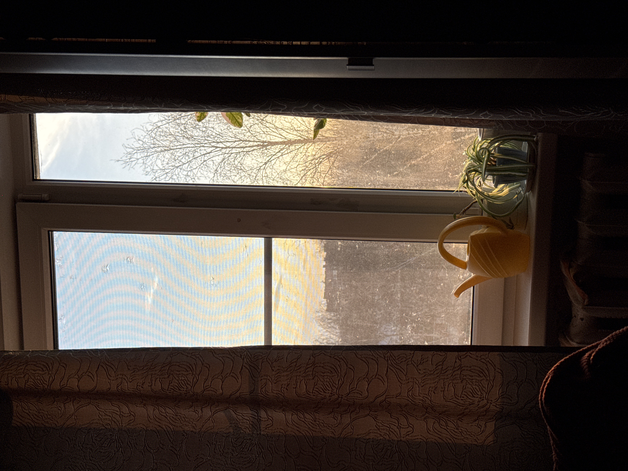 A window, partially covered by patterned curtains, allows a view to the outside. A bare tree is silhouetted against a bright, hazy sky in the top pane. The lower pane is obscured by a mesh screen. A small, yellow watering can and a potted plant sit on the windowsill. The location is likely Izhevsk, Russia, given the prompt.