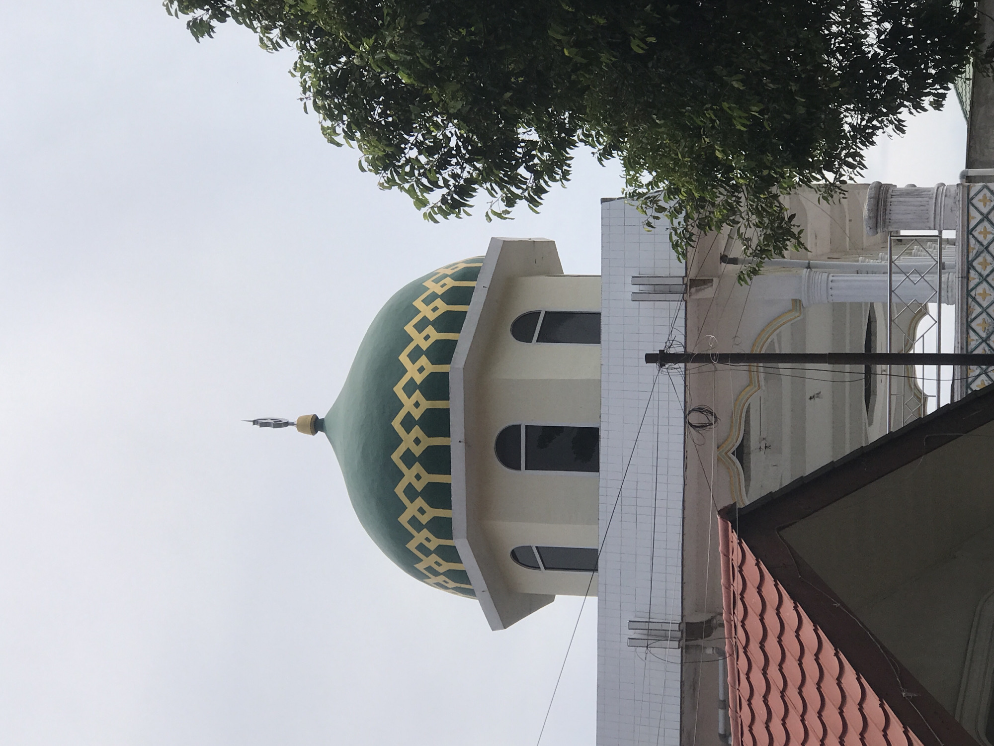 The image depicts a mosque in Lhokseumawe, Indonesia. The mosque features a large, green dome adorned with a repeating geometric pattern in yellow. The dome sits atop a light-colored structure with arched windows. A small crescent and star symbol is on top of the dome. A tree with dense green foliage partially obscures the top portion of the mosque. An adjacent building with a red tile roof is visible in the foreground. Power lines are strung across the building. The sky is overcast.