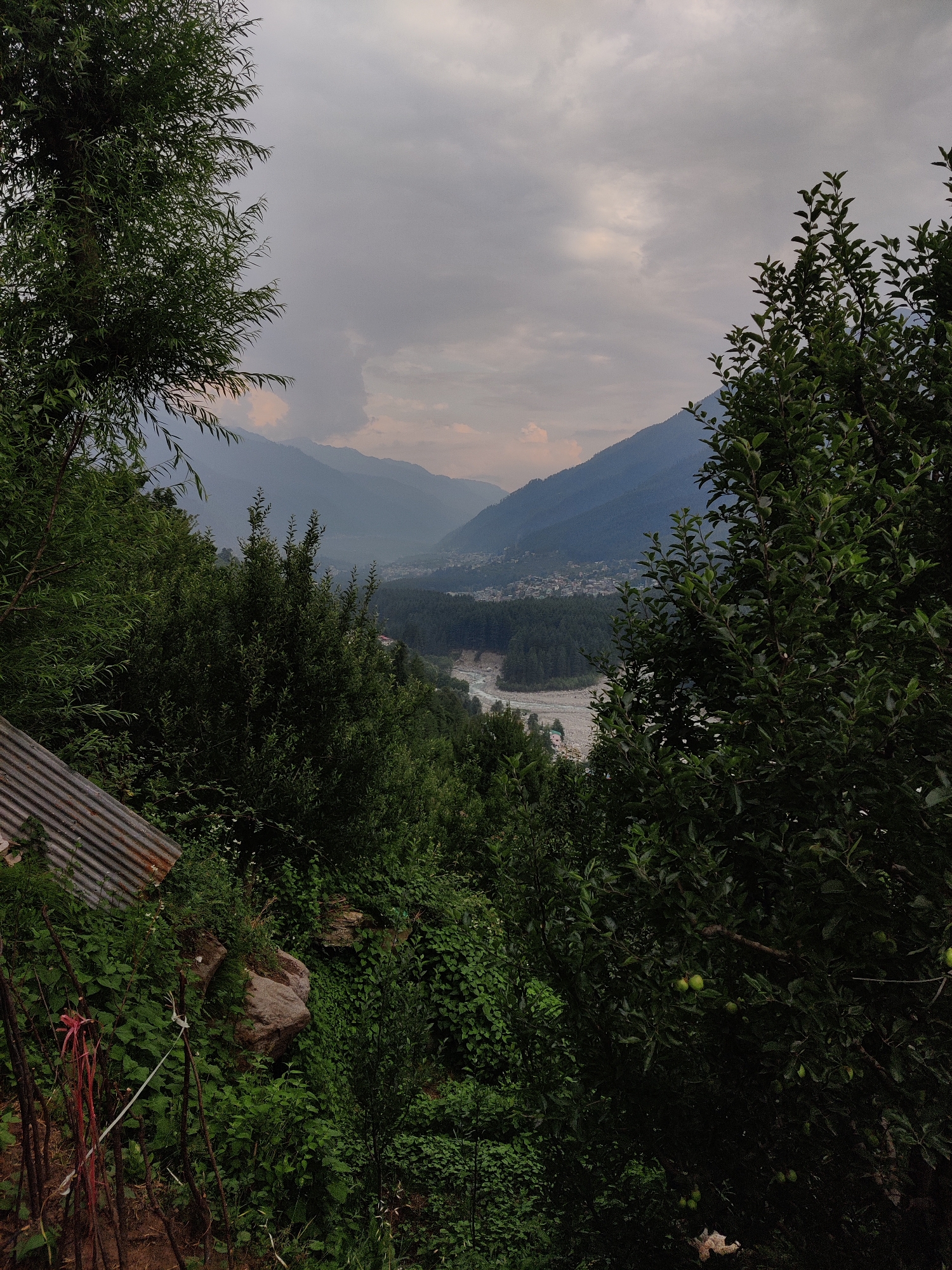 The image depicts a lush, green mountainous landscape with a valley and a village nestled within. The foreground is dominated by dense foliage, including trees with a tin roof structure partially visible on the left. The middle ground showcases a vibrant green forest that gives way to a valley with a river or stream running through it. A village with buildings is visible in the distance within the valley. The background features majestic, layered mountains that fade into a hazy sky.
The sky is overcast with dramatic, cloudy formations, suggesting a moody or perhaps rainy atmosphere. The light is diffused, indicating it could be early morning, late afternoon, or a day with heavy cloud cover. The overall mood is serene and natural, with a touch of rustic charm due to the tin roof in the foreground. The abundant greenery and the mountain range strongly suggest a rural or mountainous region. The presence of what appear to be apples on a tree in the right foreground hints at an agricultural area. The scene is still and quiet, with no people or specific activities explicitly shown, allowing the viewer to focus on the grandeur of nature and the tranquil setting. The location context of Vashisht, India, aligns with the visual cues of mountainous terrain and lush vegetation.