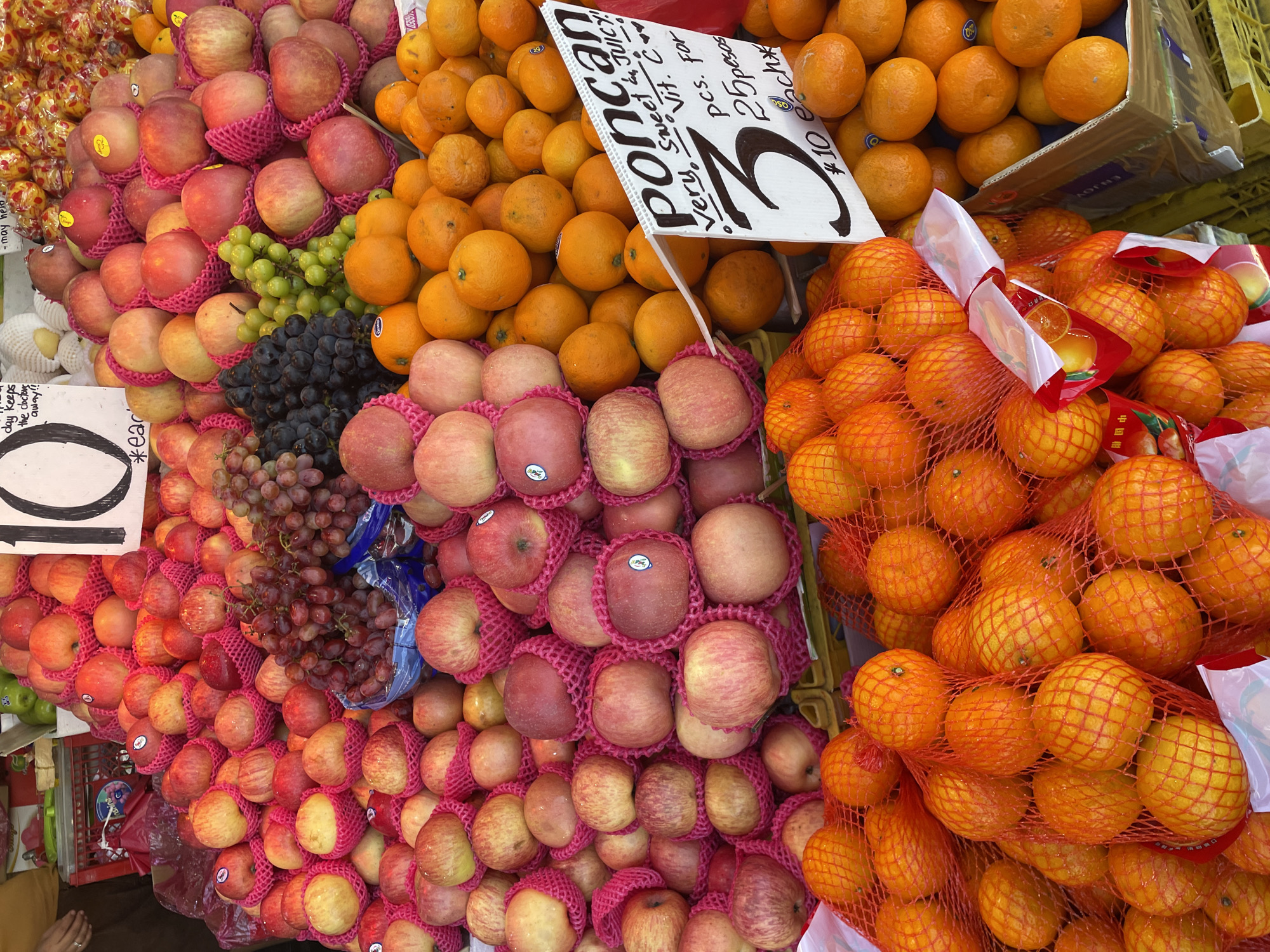 A fruit stall in Davao City, Philippines, is depicted, showcasing a large and varied display of fresh produce. The scene is dominated by multiple piles of red and yellow apples, each individually encased in a pink protective foam net. These apples are stacked in pyramidal formations across the upper and central portions of the image. Interspersed among the apples in the upper middle section are clusters of grapes, presenting distinct varieties including dark red, light green, and dark purple/black.
Below these, a significant quantity of round, orange-skinned citrus fruits, identified by a sign as "poncan," are displayed. These ponkan are presented in various forms: loose in large piles, contained within transparent plastic bags, and extensively packaged in bright red mesh netting bags, particularly in the lower left quadrant.
Pricing information is visible on two white signs with black lettering. A partially visible sign in the upper right features a large "10" and the text "may help keep the doctor away!! *each". A more prominent, rectangular sign in the lower right specifies "poncan" as "VERY Sweet & JUICY! Vit. C", offering them at "3 pcs. for 25pesos" and "*¥10 each," with the currency symbol being a likely typo for Philippine Peso (₱).
The fruits are arranged in various containers, including blue plastic bowls for grapes, cardboard boxes for some loose ponkan, and yellow plastic crates for additional loose citrus fruits. In the upper left background, a person's forearm and left hand, adorned with a ring, are partially visible, suggesting the presence of a vendor or customer. The stall is brightly lit, highlighting the vibrant colors of the fresh produce.