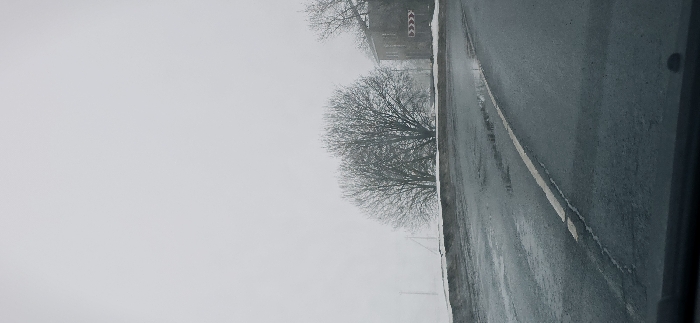 The image depicts an exterior scene in Volosovo, Russia, under overcast or foggy conditions. The sky occupies the upper two-thirds of the frame, appearing as a uniform, light grey expanse. The foreground reveals a wet, dark asphalt road, viewed from inside a vehicle, indicated by a dark horizontal line at the very bottom, suggestive of a dashboard. A faded white dashed line runs longitudinally on the road, partially submerged by water puddles and reflective wet patches. To the left of the road, a snow-covered bank or verge slopes upwards. Two prominent leafless deciduous trees with dark, dense branch structures stand centrally in the midground against the hazy backdrop. Further to the right, a dark, two-story building with a visible roofline is partially obscured by the haze. A yellow and black chevron road sign, indicating a sharp curve to the right, is affixed to or positioned near the building. Utility poles or similar structures are faintly visible in the far left background, receding into the atmospheric haze. No individuals are present, and no actions are discernible. The environment appears to be cold, likely winter or early spring, characterized by wet surfaces and residual snow.