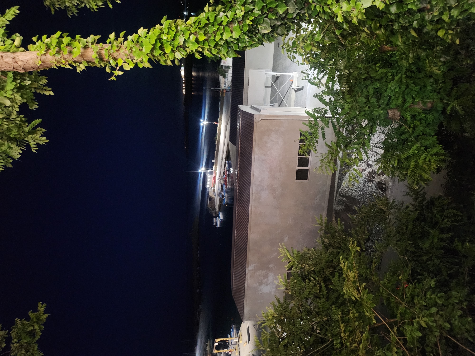 A night-time, elevated exterior view shows a harbor area in Tsarevo, Bulgaria, with several small boats docked and illuminated. In the foreground, a building with a light-colored facade and a reddish-brown metal roof is partially visible. Adjacent to the building, there are piles of gray gravel. The scene is framed by lush green foliage from trees and ivy growing on a tree trunk, obscuring parts of the view. The sky is dark and clear, with lights from distant structures visible along the shoreline.