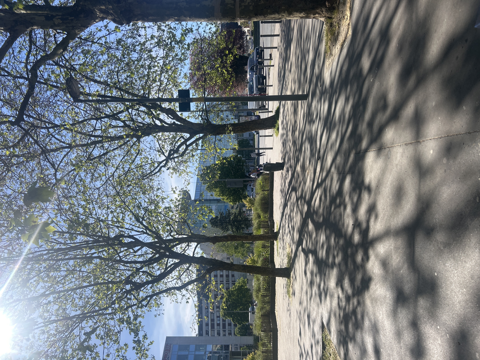 The image depicts a sunlit urban scene in Noisy-le-Grand, France, likely during a clear spring day, evidenced by the bright green, newly emerging leaves on the trees. The view is oriented along a tree-lined pathway or sidewalk, with the sun low on the left, causing significant lens flare and long, distinct shadows of tree branches to stretch across the ground.
Several large, deciduous trees with budding foliage dominate the left side of the frame, their branches reaching upwards against a clear blue sky. On the paved pathway to their right, tree shadows create intricate patterns. In the mid-ground, small figures, likely people, can be seen walking or standing on the path.
Beyond the path, a street is visible, with several cars parked along its edge and possibly traffic in the distance. The background features modern urban architecture, including multi-story buildings with reflective glass facades. On one prominent building, the text "PRO BTP Groupe" is clearly discernible, a French social protection group, confirming the location context. Other buildings and dense greenery are also scattered throughout the background. The overall impression is one of a bright, active urban environment with a strong presence of nature.
