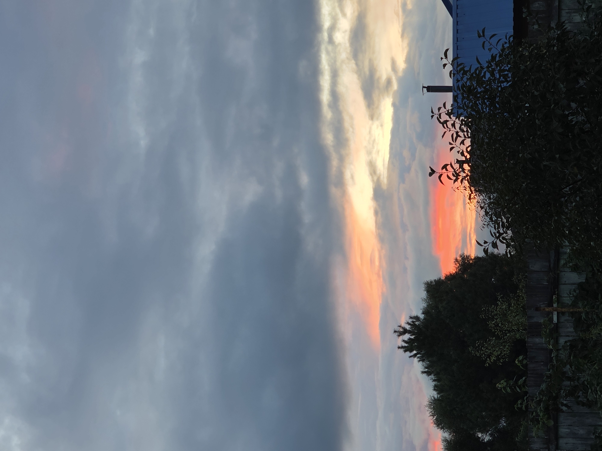 The image depicts a natural scene with elements of human habitation in what is identified as Речицы, Russia. The sky is filled with dramatic clouds, exhibiting a gradient of gray to dark gray at the top, transitioning to lighter grays and wisps of pink and orange hues near the horizon, suggesting a sunset or sunrise. Partially obscured by the trees and vegetation in the foreground, a wooden fence runs horizontally across the lower portion of the frame. Behind the fence, lush green trees and dark foliage create a dense barrier, with a tall, dark green conifer tree prominently visible in the center. To the right of the conifer, a portion of a blue-roofed building with a chimney is visible, indicating residential presence. The overall ambiance is one of a rural or suburban landscape at dusk or dawn, characterized by natural beauty and the presence of human structures.
