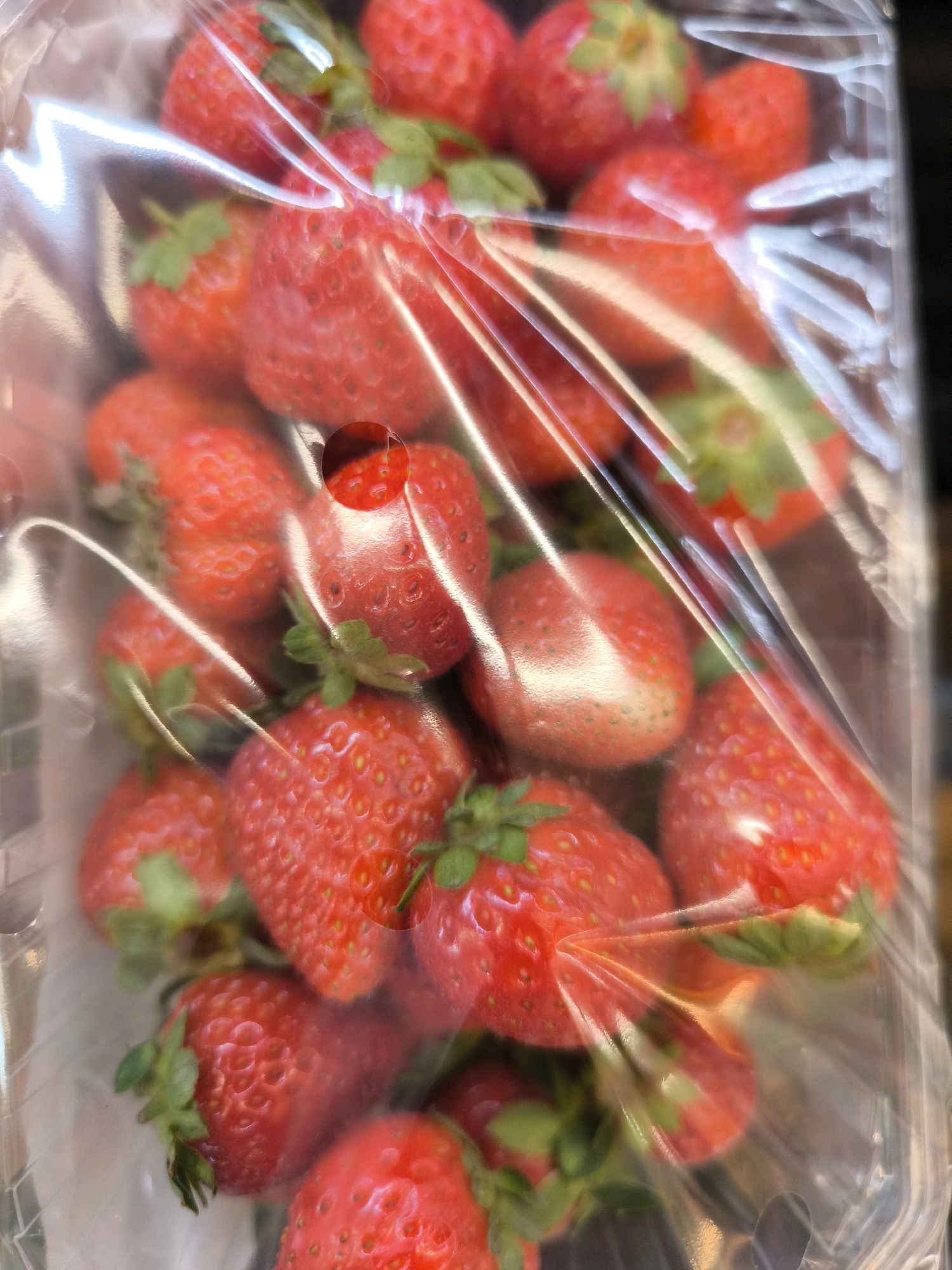 A plastic container filled with fresh strawberries is shown in the image. The strawberries are bright red with visible seeds and green stems. The container is clear plastic, allowing the vibrant red of the fruit to be the primary focus. The strawberries are densely packed, suggesting a retail setting, possibly a market or grocery store. The lighting in the image is somewhat diffused, creating highlights on the plastic and the surfaces of the strawberries. No specific location in Sestao, Spain, is identifiable from the image; it is a general close-up of a food item.