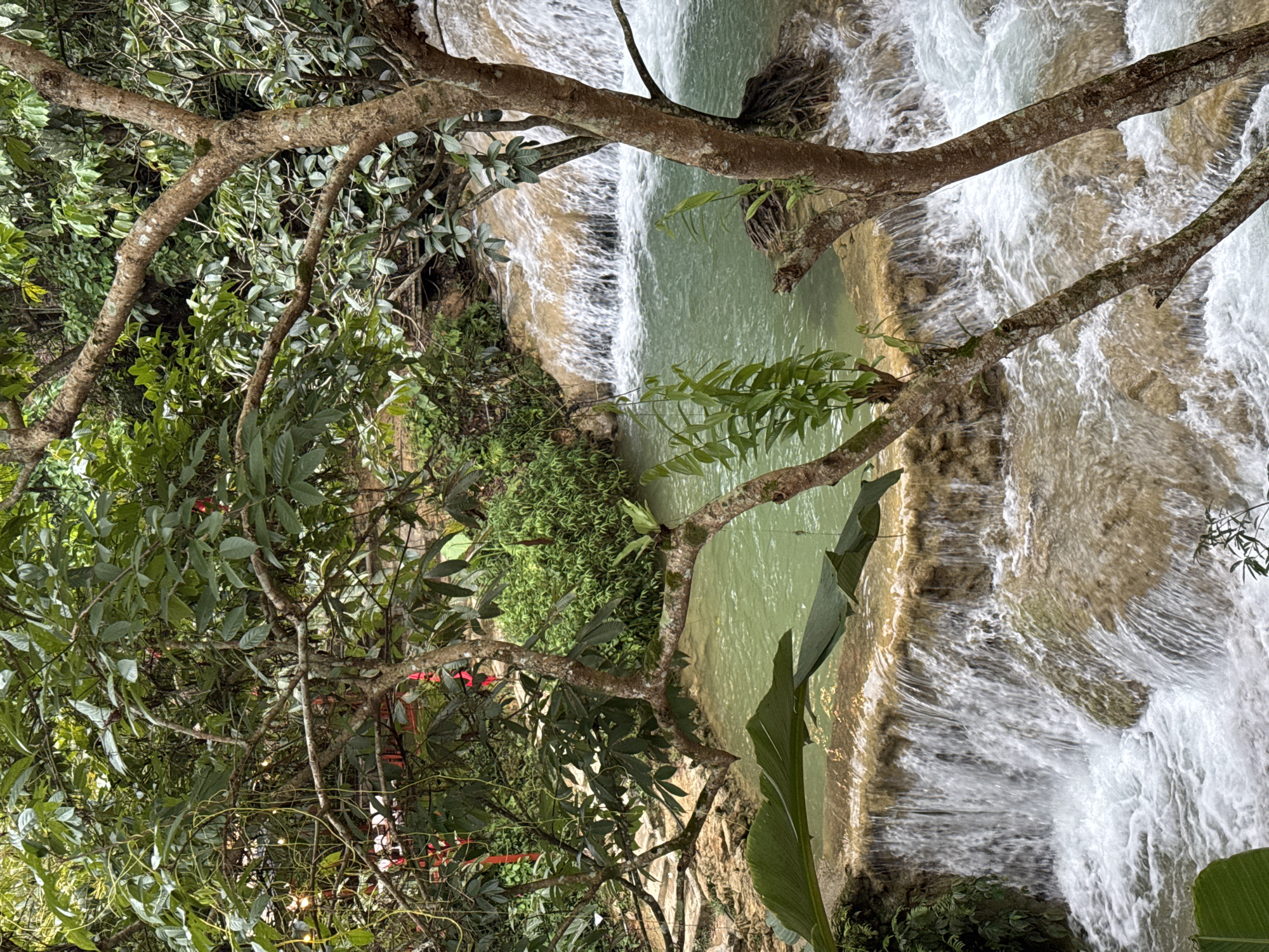 The image captures a natural scene with multiple tiers of waterfalls flowing over rocks in a lush green environment. The water is a clear turquoise color, and the surrounding vegetation is dense and vibrant, with various shades of green leaves and branches. Two trees, with textured bark and branches extending into the frame, partially obscure the view of the waterfalls and pools. In the upper left background, a hint of red structures and string lights suggests a man-made element, possibly a viewing platform or cafe, within the natural landscape. The overall impression is one of a serene and picturesque natural setting, likely a tourist attraction in a tropical or subtropical region. The scene is static, with no visible people or animals. The lighting suggests an overcast or shaded day, contributing to the soft, natural light of the scene.