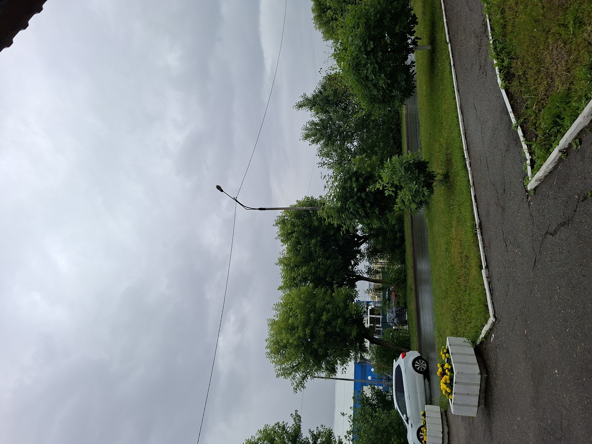The image depicts a street scene in Kazan, Russia on a cloudy day. In the foreground, a wet asphalt path runs along a grassy area. White concrete planters filled with yellow flowers are visible on the left. A white hatchback car is parked on the right side of the road, which appears wet, suggesting recent rain. Across the street, a row of green trees lines the sidewalk, behind which is a building with blue and white elements and large windows. A street lamp stands tall between the trees and the building. Further back, more trees and what appears to be a fence are visible. The sky is overcast with gray clouds.