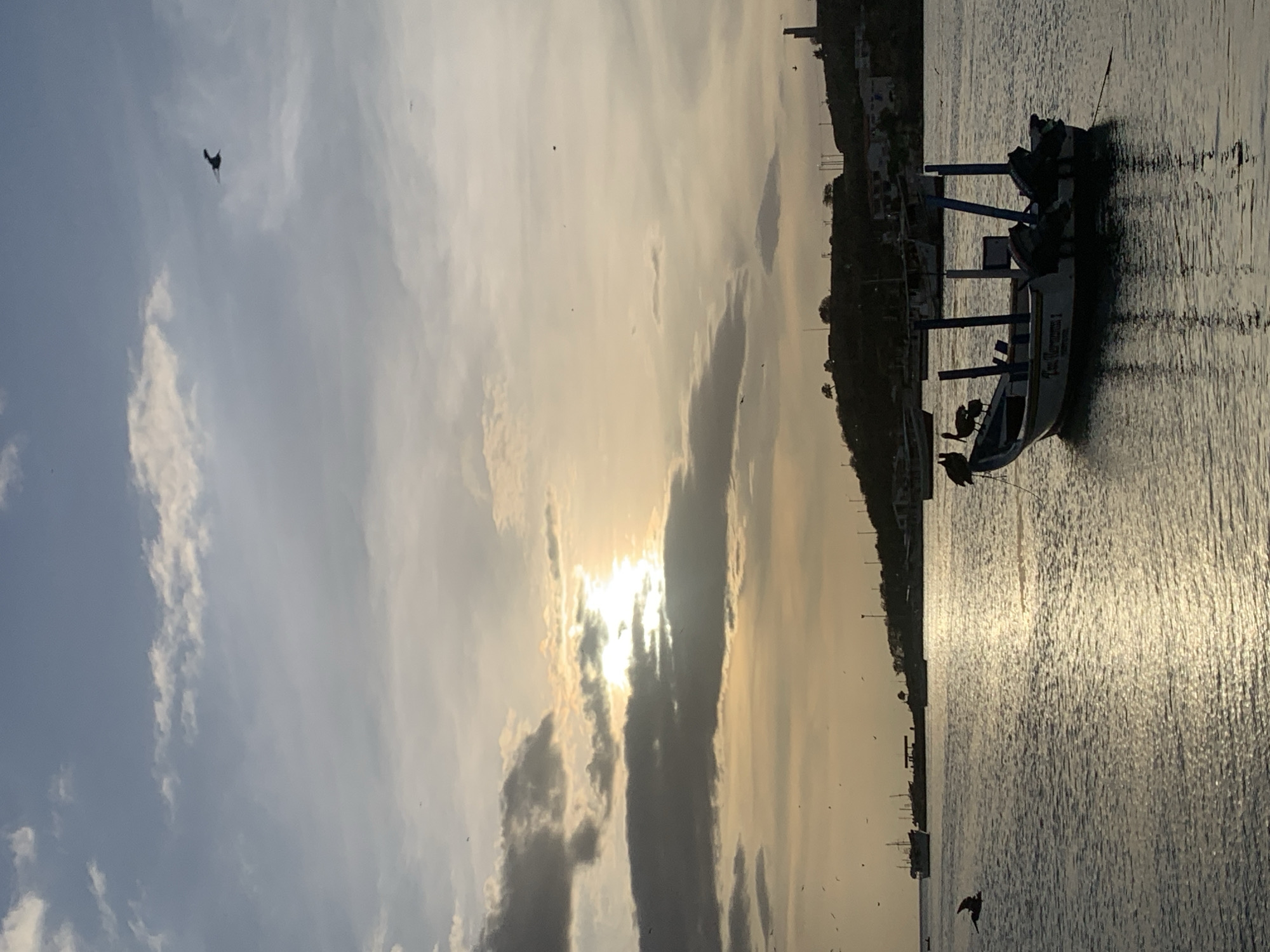 The image captures a serene harbor scene in Juan Griego, Venezuela, during what appears to be sunset or sunrise. The sky is a canvas of soft grays and yellows, with the sun peeking through scattered clouds, casting a shimmering reflection on the calm water. Several boats are anchored in the bay, the most prominent being a small fishing vessel in the foreground, silhouetted against the radiant sky. Three pelicans are perched on the edge of this boat, facing left, their forms dark against the bright backdrop. In the distance, the coastline is lined with lush green hills, dotted with buildings and structures, including a tall, slender tower on the right side of the frame. Other boats and ships are visible further out in the harbor, some appearing larger and more industrial. Birds are scattered throughout the sky, some in flight, adding to the dynamic yet peaceful atmosphere of the scene. The overall impression is one of tranquility and natural beauty.