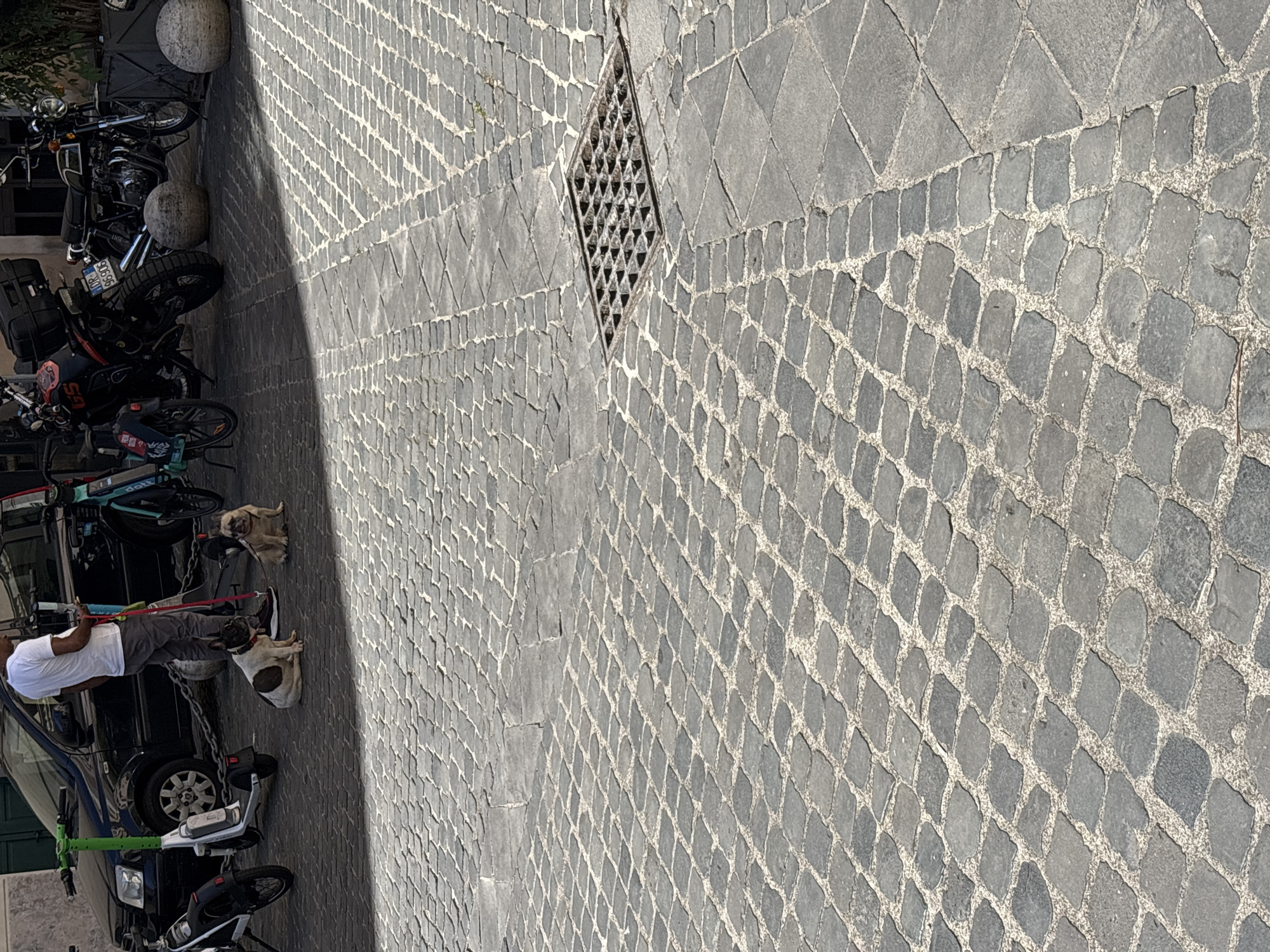 This image shows a street in Rome, Italy, paved with cobblestones arranged in a diamond pattern. A metal grate is visible in the pavement. Parked along the side of the street are several motorcycles, scooters, and bicycles. A man is standing on the sidewalk with two dogs on leashes. A black car is also parked nearby.
