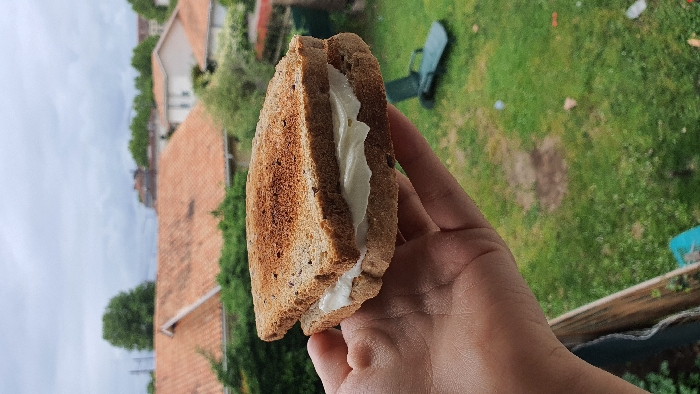A hand is holding a toasted bread sandwich with a white filling, presumably cream cheese, in front of a window overlooking a residential area. The location is in Libourne, France, at coordinates 44.907 latitude and -0.238 longitude. The environment is a typical residential neighborhood with several houses with red tile roofs, green lawns, and a few trees visible in the background. There is a blue lawn chair in the background. The sandwich is slightly out of focus, while the hand is in focus. The photo was taken during the day.
