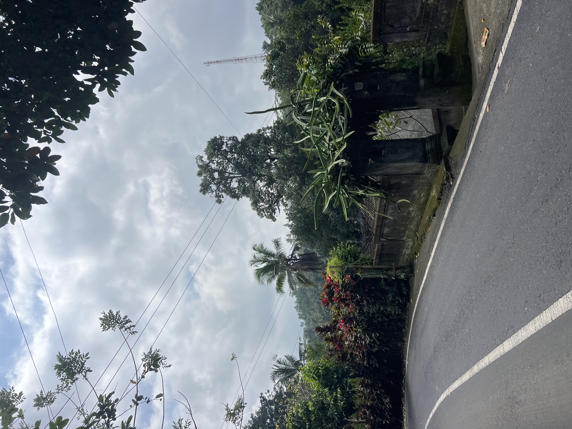 The image depicts a roadside view in Tembuku, Indonesia. A paved road with white lane markings curves to the left in the foreground. To the right of the road is a low, stone wall with an arched gateway. Dragon fruit plants with long, trailing stems grow over the gateway. Behind the wall and gateway, lush green vegetation is visible, including palm trees and other tropical foliage. In the distance, a cell tower rises above a treeline, and a hazy sky with scattered clouds fills the upper portion of the frame. Overhead, power lines are strung across the sky. The scene appears to be a rural or semi-rural area.