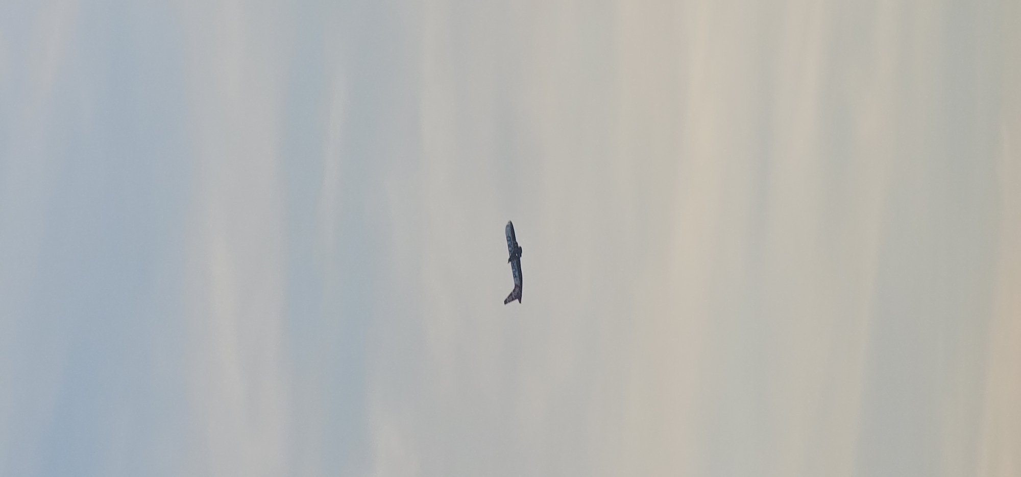 An airplane is in flight against a hazy sky. The airplane, which appears to be white with some pink and purple markings, is positioned in the lower right quadrant of the image. The sky is filled with soft, horizontal clouds, creating a gradient of light blue and pale yellow. No specific landmarks of Makati, Philippines, are visible in the image, as the focus is entirely on the sky and the aircraft. The image appears to be taken from a ground-level perspective.