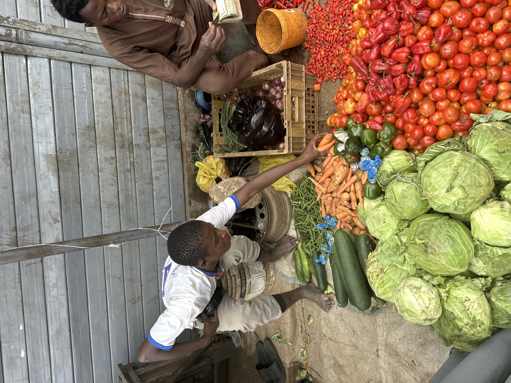 This image depicts an outdoor market scene in Narayi, Nigeria. Two young Black men are engaged in a transaction. One man, wearing a white t-shirt with blue trim and light-colored pants, is crouching down and reaching for vegetables. The other man, dressed in a brown traditional tunic, is seated and counting a stack of Nigerian Naira banknotes.
In the foreground, a variety of fresh produce is displayed on a tarp covering the ground. This includes large heads of green cabbage, several cucumbers, a pile of carrots, green beans, bell peppers (green and red), tomatoes, and a large quantity of small red chili peppers. Behind the produce, there are several containers. A yellow plastic crate holds onions and a black plastic bag. An orange plastic bucket is situated to the right, and a large white bucket with writing on it, possibly for paint, is behind the crouching man. The backdrop is a corrugated metal wall, likely the side of a building or stall, with vertical support beams. The ground is a rough, earthy surface.