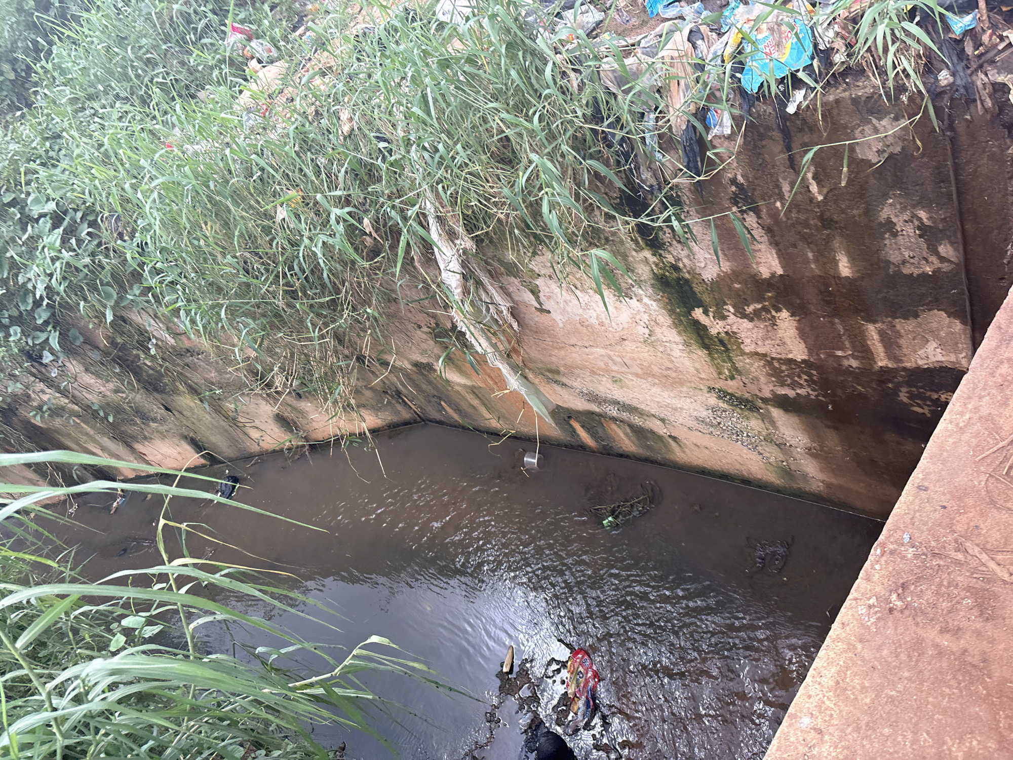 The image depicts a concrete drainage channel filled with murky brown water, indicating a lack of proper waste management. Tall green reeds and grasses grow along the edges of the channel, with some vegetation hanging over the water. The concrete walls of the channel are stained with dark patches, possibly from accumulated dirt or algae.
Trash and debris are visible along the top edges of the channel, including plastic bags, bottles, and other discarded items. This suggests the area is prone to littering. A few plastic bottles and other small objects are floating in the water, along with some plant debris. In one section of the water, there is a bright red and yellow plastic wrapper, and near it, a black object that appears to be a shoe or piece of clothing.
The scene is likely outdoors, given the vegetation and the open drainage channel. The lighting suggests it is daytime, possibly overcast, as there are no strong shadows. The overall impression is one of neglect and environmental pollution in an urban or semi-urban setting in Nkpor, Nigeria. There is no visible text in the image.
