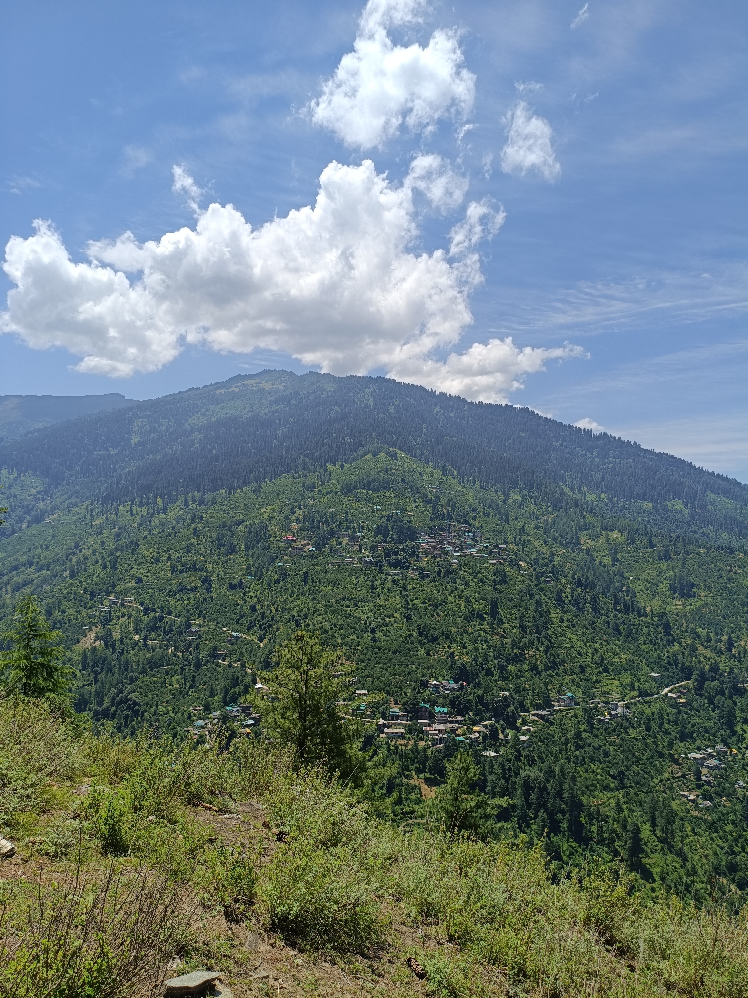 The image depicts a verdant mountainside dotted with small villages and dense forests, under a bright blue sky with scattered white clouds. The location is identified as Sharn, India. The foreground features a grassy slope with some dry bushes and rocks. The mid-ground and background are dominated by a steep, heavily forested mountain. Several clusters of houses, appearing to be villages, are visible nestled within the trees on the slopes. The trees are a mix of coniferous and deciduous types, creating a rich green tapestry. The sky is clear and sunny, suggesting fair weather. There are no people or animals immediately visible in the scene. The overall impression is a serene, rural mountain landscape.
