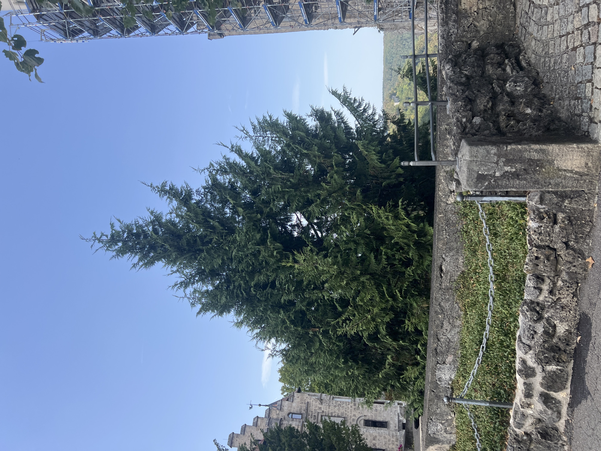 The image depicts a picturesque scene of a tall, mature evergreen tree standing prominently in the foreground. The tree's dense foliage dominates the central portion of the frame, with its branches reaching upwards towards a clear blue sky. To the left of the tree, a portion of a stone building with a Gothic architectural style is visible, featuring arched windows and a pointed roof. To the right of the tree, a tall stone structure covered in scaffolding suggests ongoing construction or renovation. The foreground is characterized by a weathered stone wall and a cobbled pathway. A metal chain runs along the top of the wall, acting as a low barrier. In the background, rolling green hills and a valley are visible under the expansive sky, hinting at a natural landscape beyond the immediate urban or constructed environment. The scene appears to be captured on a bright, sunny day, with the sunlight illuminating the various elements of the composition.