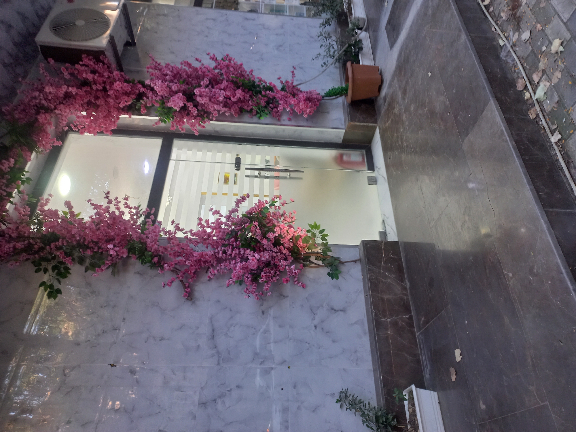 The image captures a storefront entrance in Baku, Azerbaijan. The building facade features marble-patterned tiles and a glass door. Artificial pink cherry blossoms are draped over the entrance, creating a decorative arch. In front of the entrance, there are several potted plants, including a small tree in a brown pot and a white planter with greenery. The ground in front of the entrance is paved with dark, polished stone tiles. An air conditioning unit is visible on the upper right side of the building. The scene is well-lit, suggesting it's daytime. There are no people visible in the image.