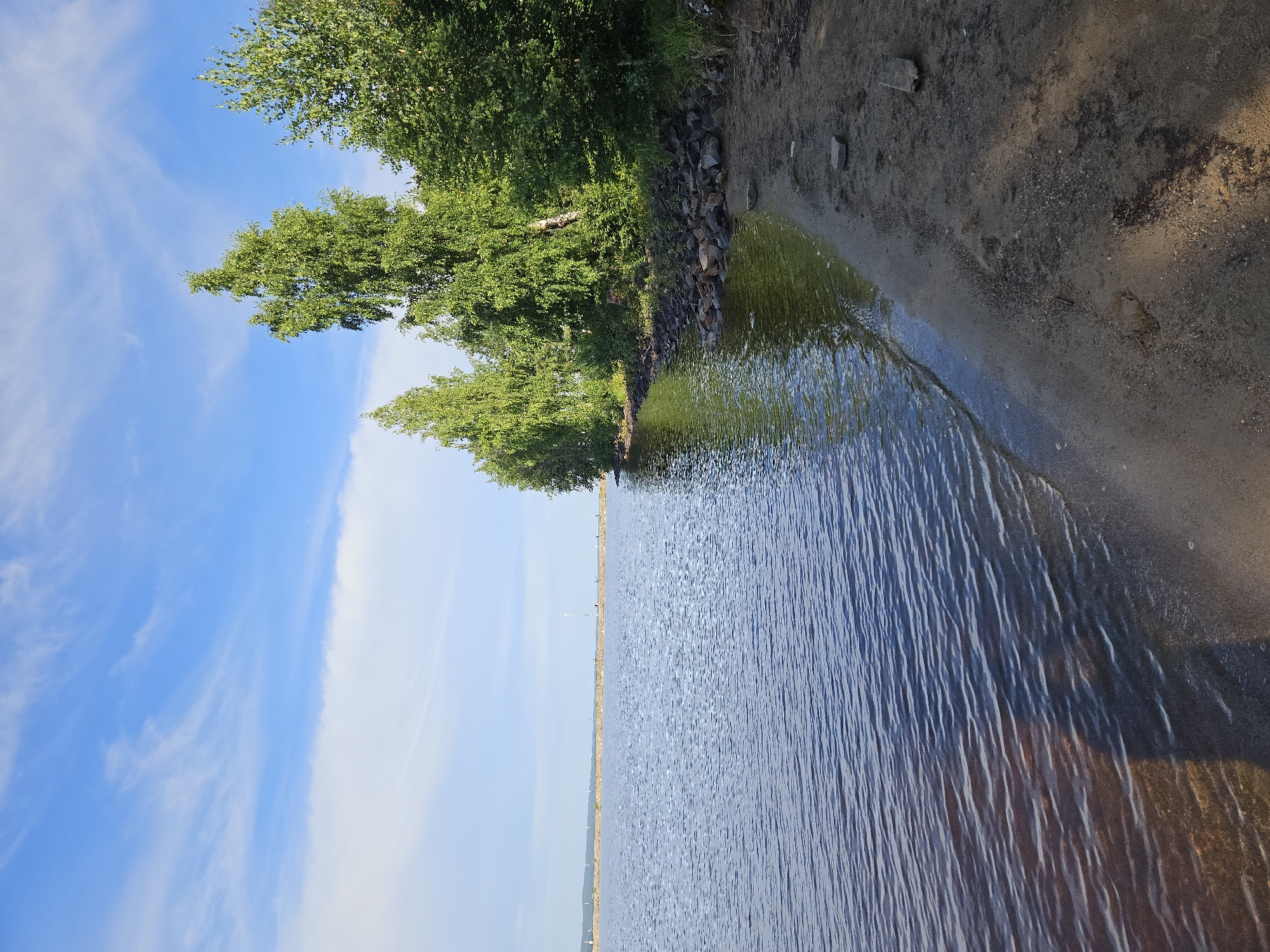The image depicts a serene waterside scene. A calm body of water occupies the left two-thirds of the frame, with ripples suggesting a gentle breeze. The water is a deep blue-gray, with the sandy bottom visible in shallower areas towards the right. A narrow strip of sandy beach runs along the right edge of the image, transitioning into a rocky shoreline. Lush green trees with full canopies line the edge of the beach and extend into the background. The sky above is a vibrant blue, scattered with wispy white clouds. In the far distance, across the water, a thin, horizontal line of structures is visible, possibly a pier or breakwater, with faint silhouettes of what might be windmills or towers. The overall impression is one of a natural landscape under a clear, bright sky.