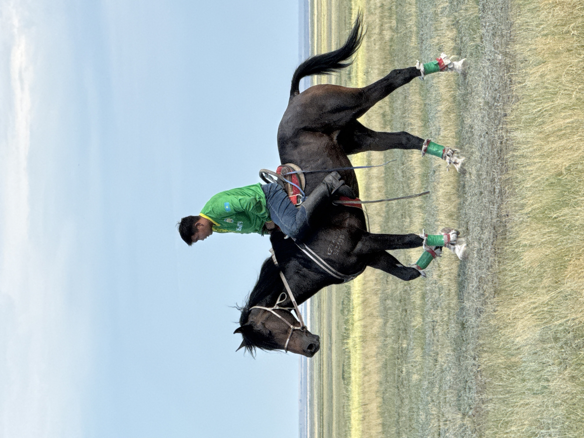 A man in a green long-sleeved shirt and blue jeans is riding a dark brown horse across a grassy plain. The horse is wearing decorative green and white leg wraps. The man is looking to his right. The sky is blue with some clouds. In the distance, there appears to be water or a salt flat. The scene is outdoors, with a focus on the man, horse, and the natural environment.