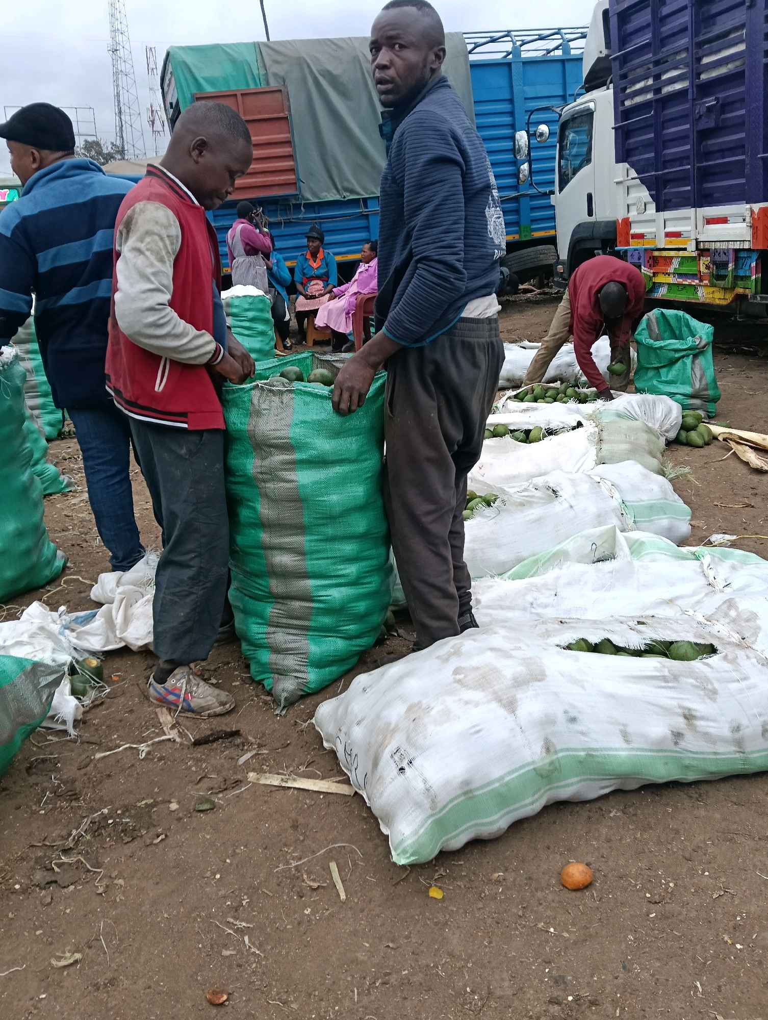 Memory