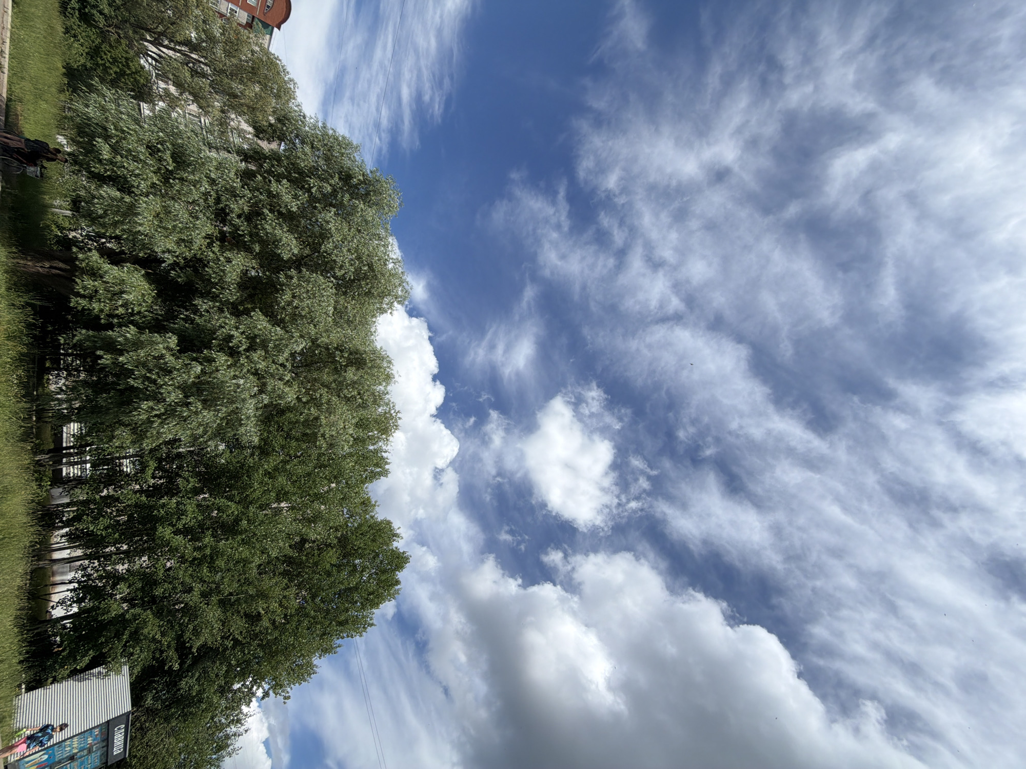A low-angle, wide shot captures a sky filled with a mix of wispy cirrus clouds and larger cumulus formations against a vibrant blue sky. In the foreground, a dense line of lush green trees dominates the lower half of the frame, their foliage obscuring a multi-story apartment building partially visible behind them. To the right of the trees, a corrugated metal structure with a sign that reads "СЛАВИЩА" (Slavishcha) is present. In the bottom left corner, two individuals are standing near a bicycle, and a third person in bright clothing is visible near the metal structure on the right. The scene appears to be set in an urban park or green space in the city of Chaikovsky, Russia.