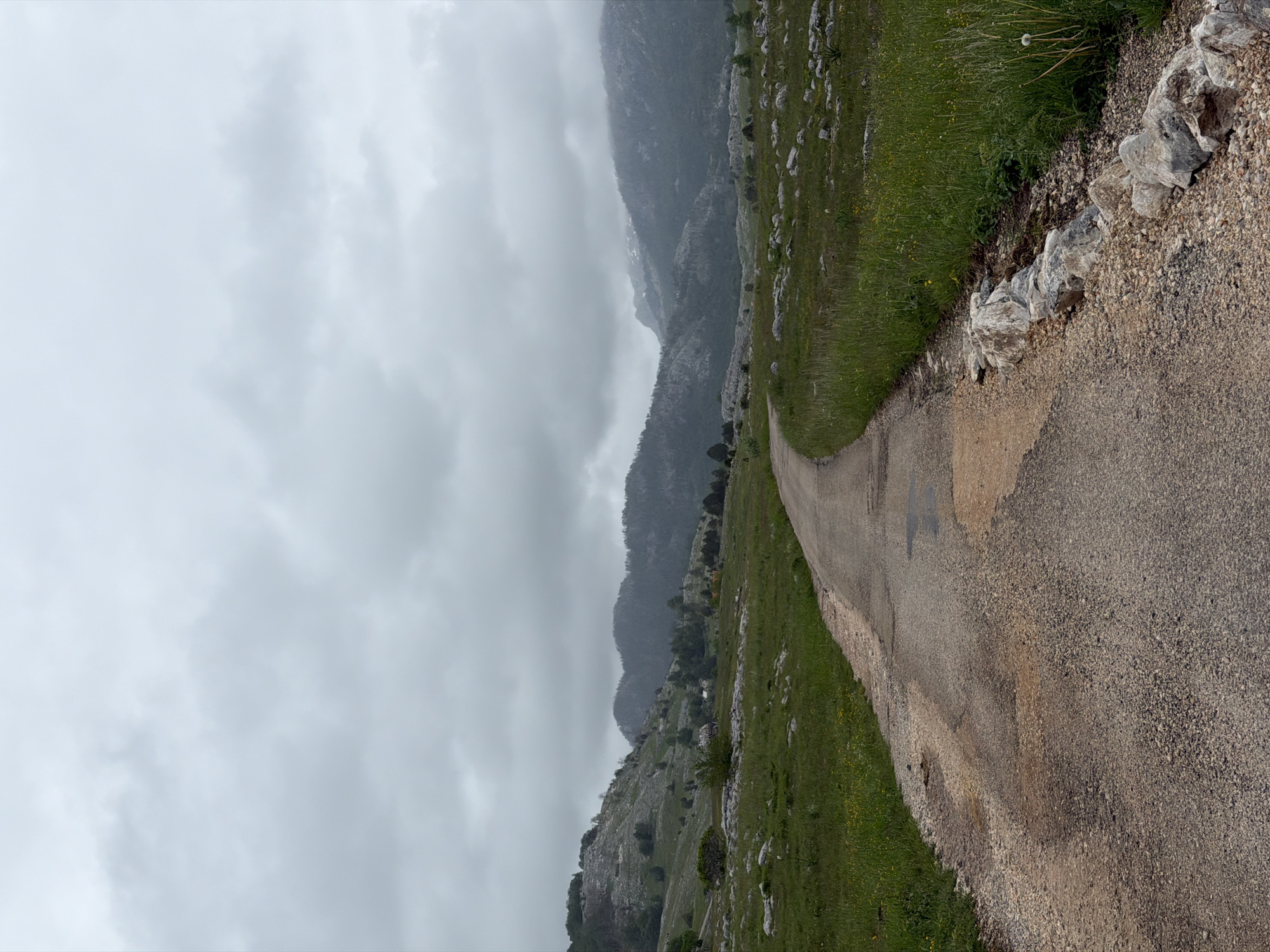 The image presents a wide view of a winding asphalt road traversing a natural, mountainous landscape under a heavily overcast sky. The photograph is oriented vertically, with the road entering from the bottom right and curving gently towards the center-left, leading into the distant haze.
On both sides of the road, particularly prominent on the right, are vibrant green grassy fields liberally interspersed with numerous light gray rocks and smaller stone formations. Some small yellow flowers and taller weeds, including a dandelion-like plant, are visible among the grass near the road's edge. A distinct border of small, light-colored stones separates the asphalt from the rocky, grassy terrain. The road surface itself is made of dark gravelly asphalt, showing some lighter patches.
In the midground and background, a series of rugged, towering mountains dominate the scene. Their rocky slopes are partially obscured by a dense layer of gray clouds or mist, creating a sense of depth and an atmospheric haze. The mountains appear steep and formidable, with some sparse vegetation visible on their lower sections. The sky is entirely covered by a thick, light gray cloud cover, indicating an overcast day.
No people or discernible activity are present. The scene conveys a sense of solitude and natural grandeur, suggesting a remote or rural mountainous region. The weather appears cool and damp due to the pervasive cloud cover. This natural setting aligns with the geographical context of Konjsko, Montenegro. There is no visible text in the image.