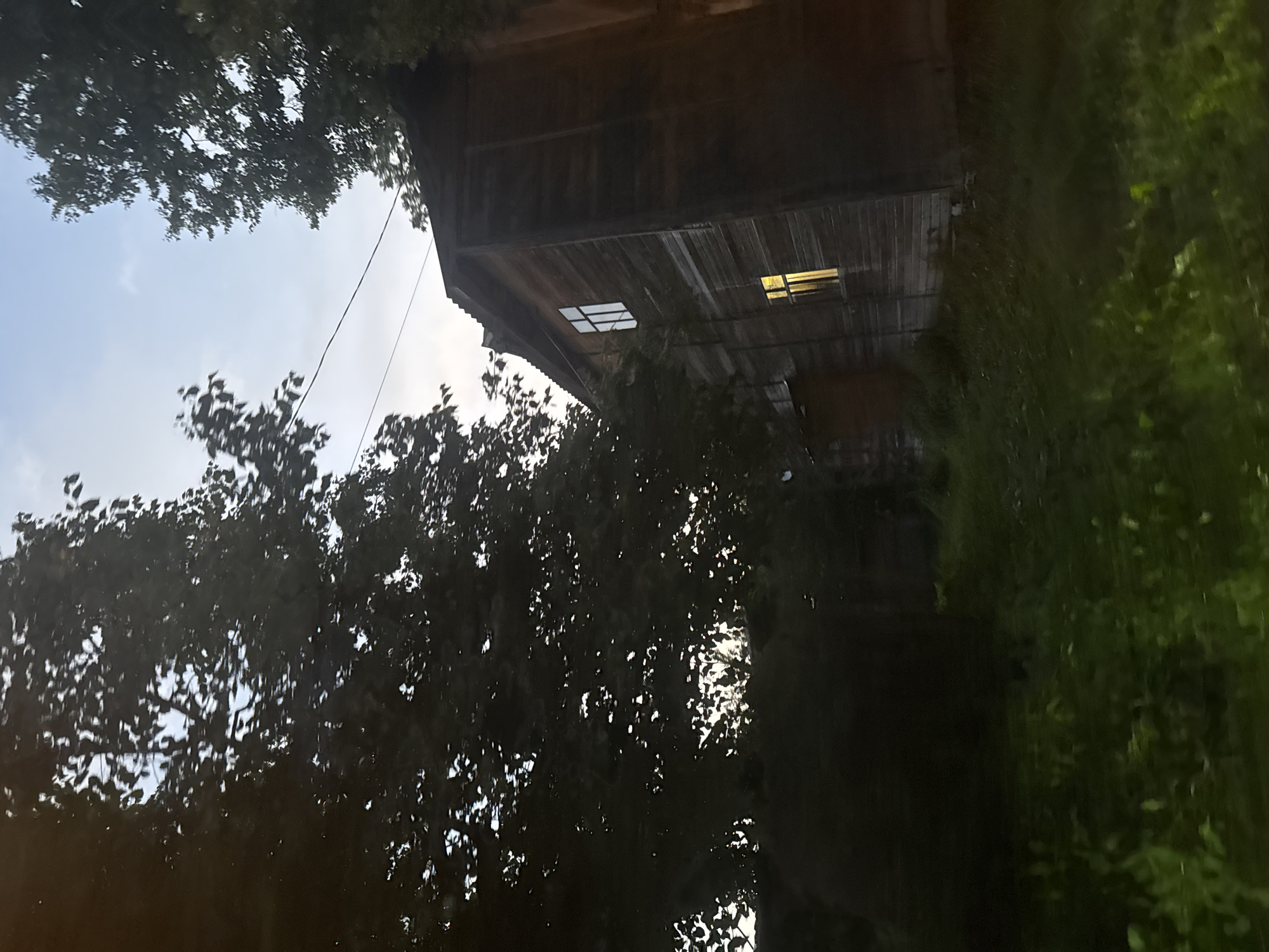 An outdoor, low-angle, wide shot captures a wooden, multi-story building adjacent to a dense foliage of trees. The sky, visible in the upper section, transitions from a light blue to a darker hue, suggesting either early morning or late evening. The building's facade, constructed from horizontal wooden planks, displays two windows. One window on the upper floor is illuminated with a bright white light, while a window on the lower floor emits a warm yellow glow. A power line stretches across the frame, diagonally from the upper left to the upper right. The foreground is dominated by lush green grass and the shadows of the surrounding trees, creating a somewhat dark and moody atmosphere. The overall scene appears to be located in a rural or semi-rural area, possibly within the city of Vereya, Russia, given the architectural style and natural surroundings. There are no people or animals visible in the image.